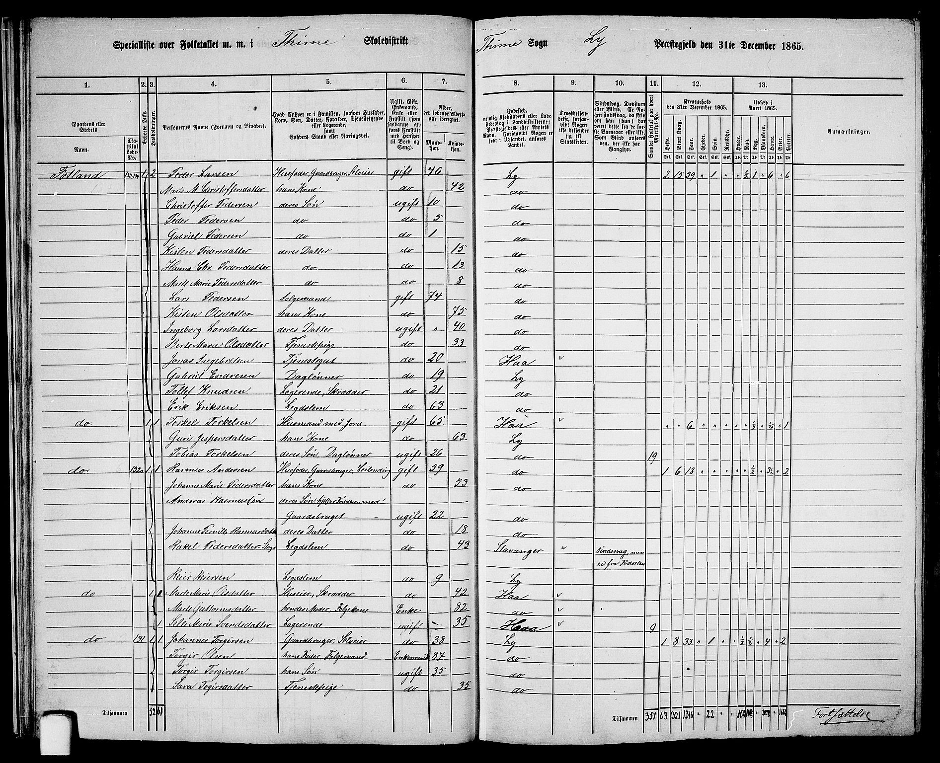 RA, 1865 census for Lye, 1865, p. 25