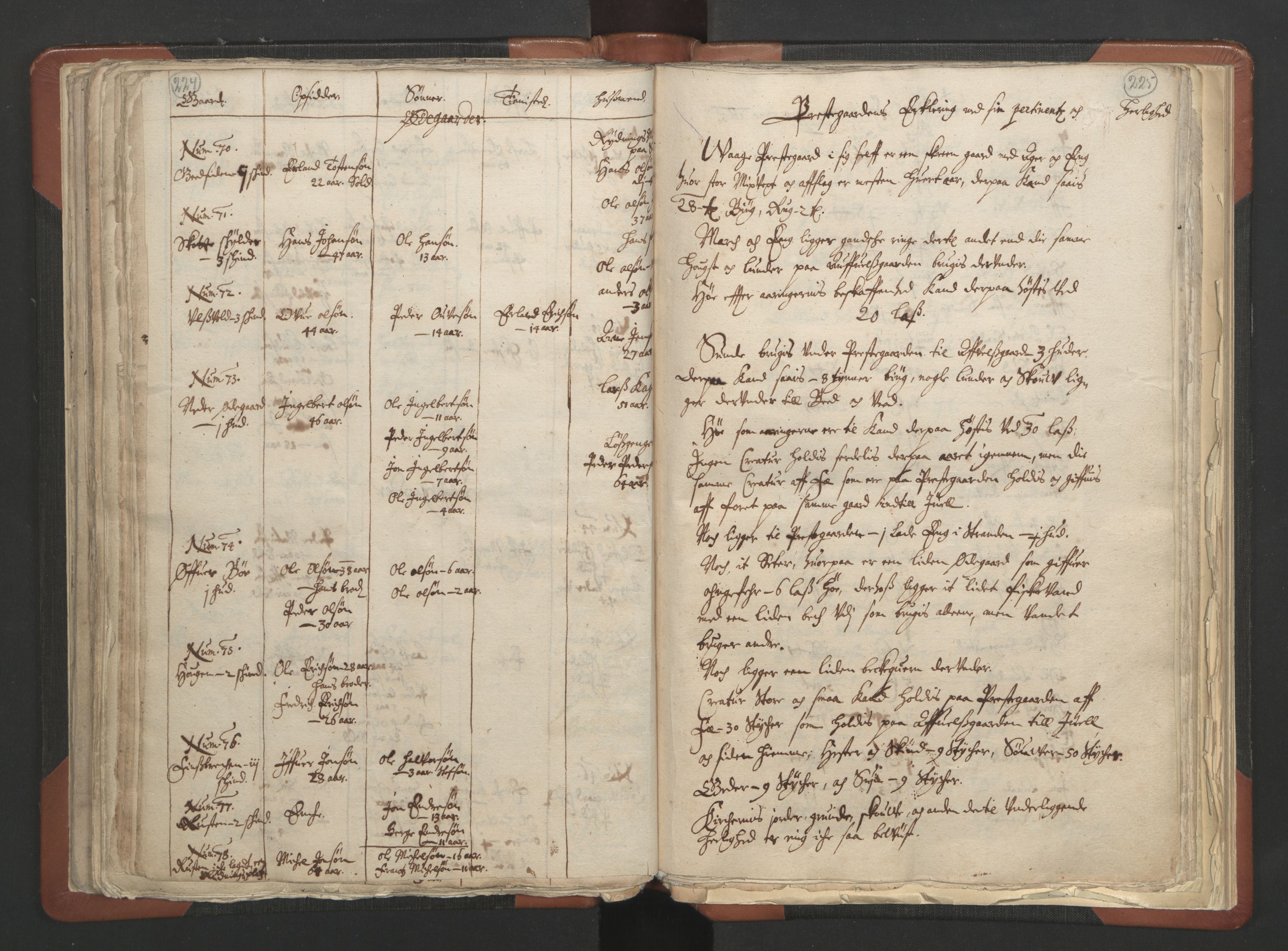 RA, Vicar's Census 1664-1666, no. 6: Gudbrandsdal deanery, 1664-1666, p. 224-225