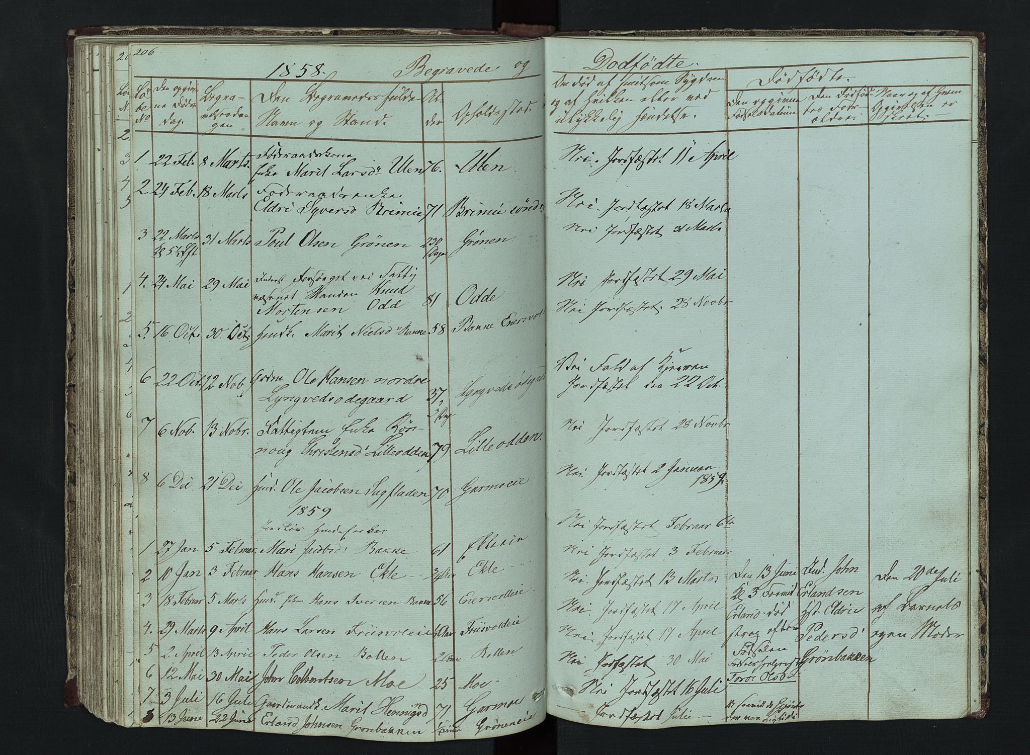 Lom prestekontor, SAH/PREST-070/L/L0014: Parish register (copy) no. 14, 1845-1876, p. 206-207