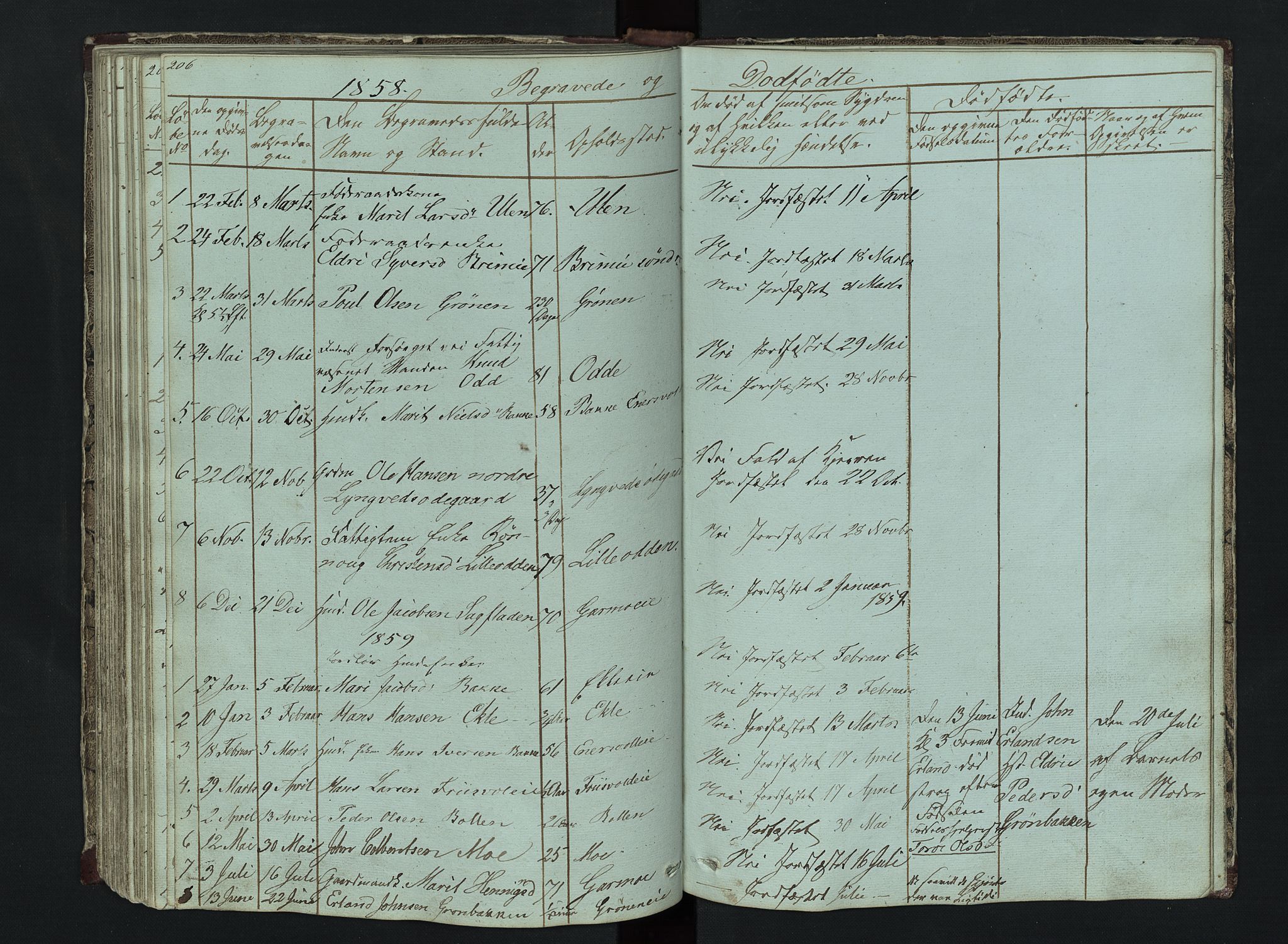 Lom prestekontor, AV/SAH-PREST-070/L/L0014: Parish register (copy) no. 14, 1845-1876, p. 206-207