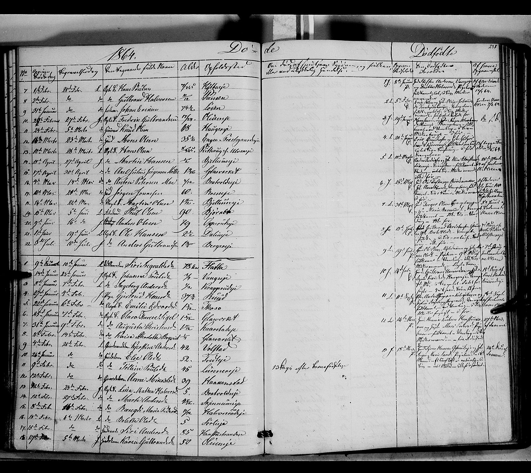 Jevnaker prestekontor, SAH/PREST-116/H/Ha/Haa/L0007: Parish register (official) no. 7, 1858-1876, p. 238