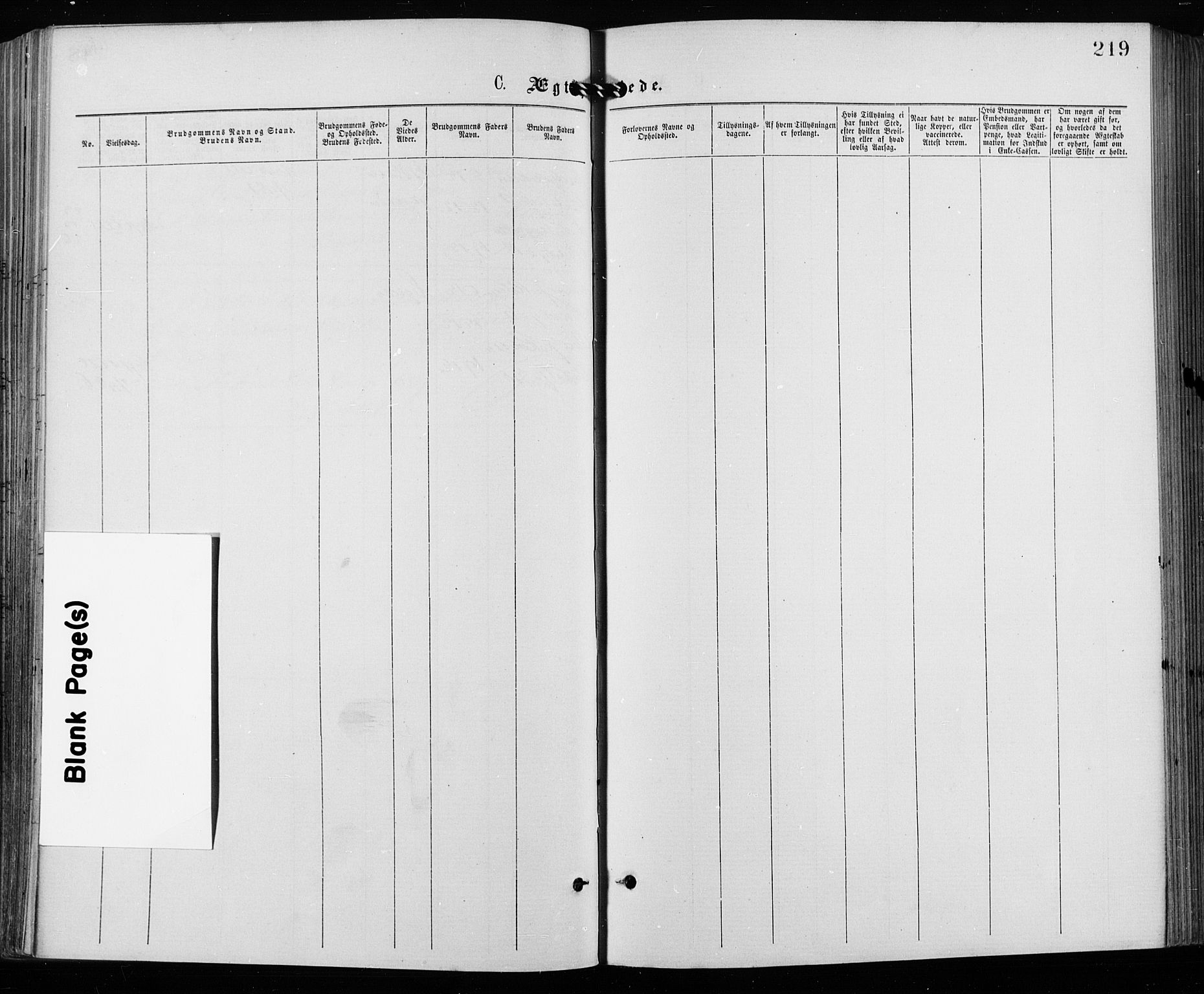 Grønland prestekontor Kirkebøker, AV/SAO-A-10848/F/Fa/L0006: Parish register (official) no. 6, 1877-1886, p. 219