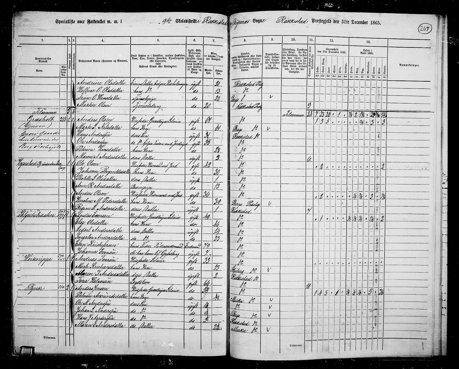 RA, 1865 census for Rakkestad, 1865, p. 256