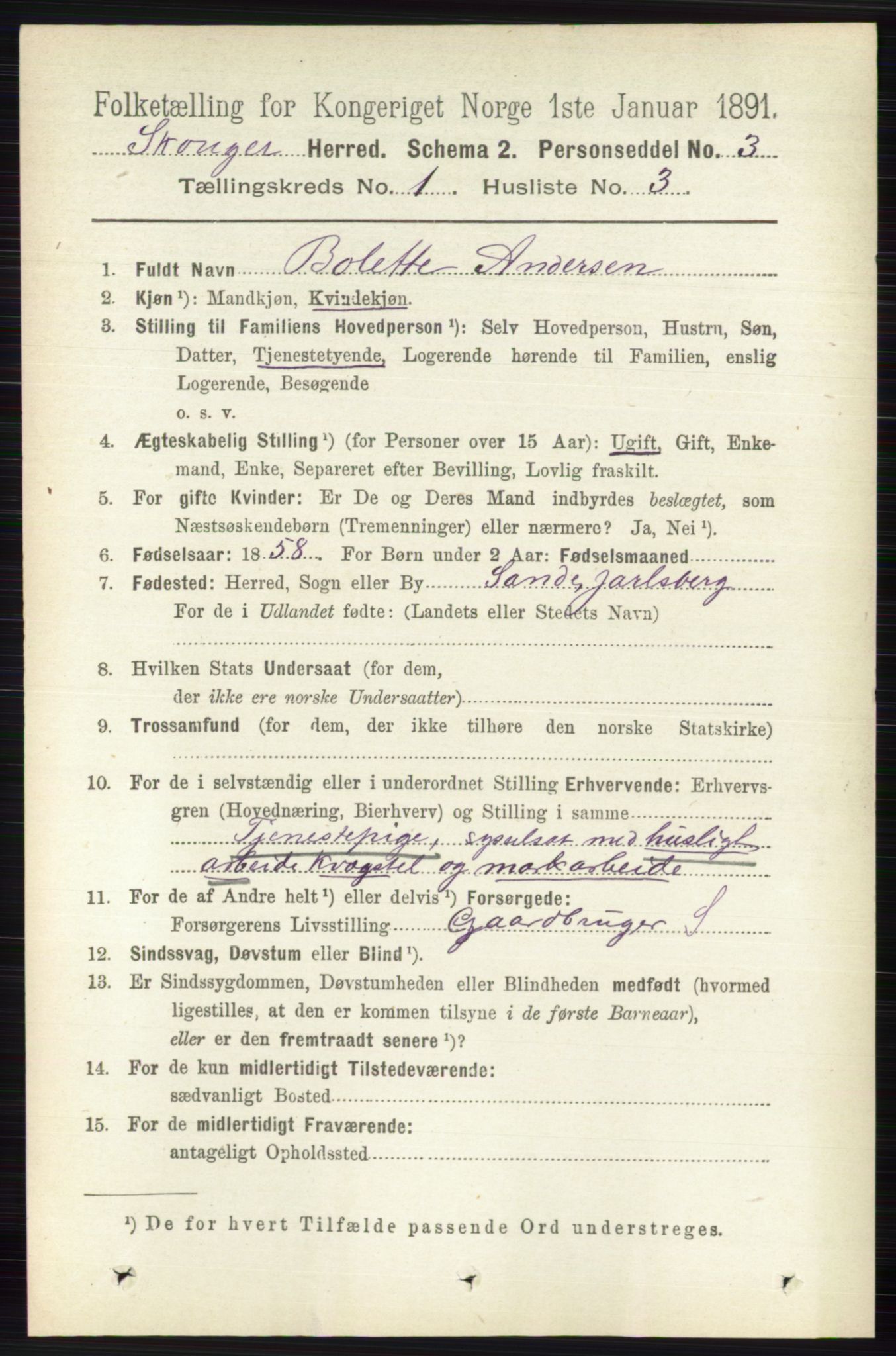 RA, 1891 census for 0712 Skoger, 1891, p. 104