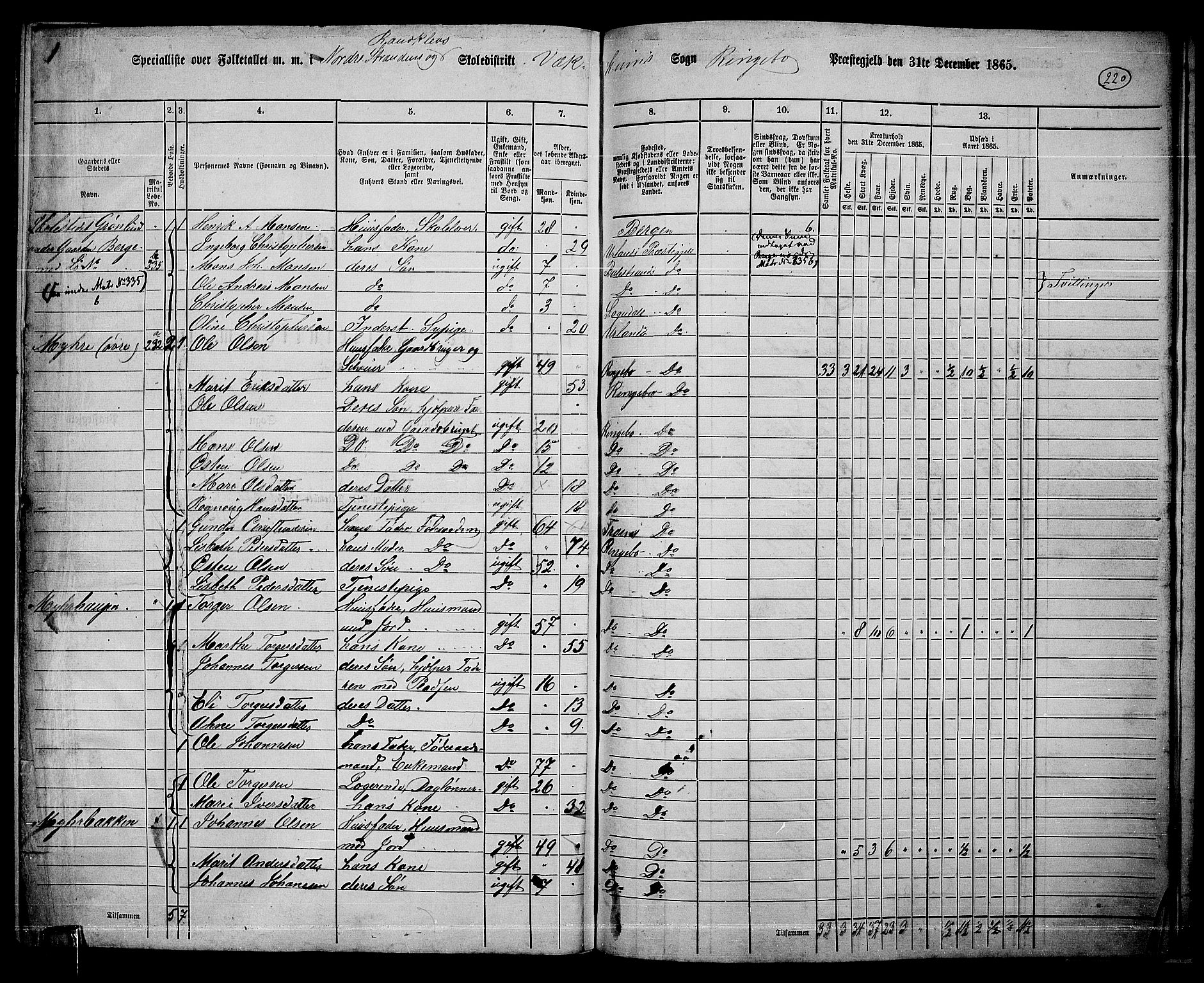 RA, 1865 census for Ringebu, 1865, p. 191