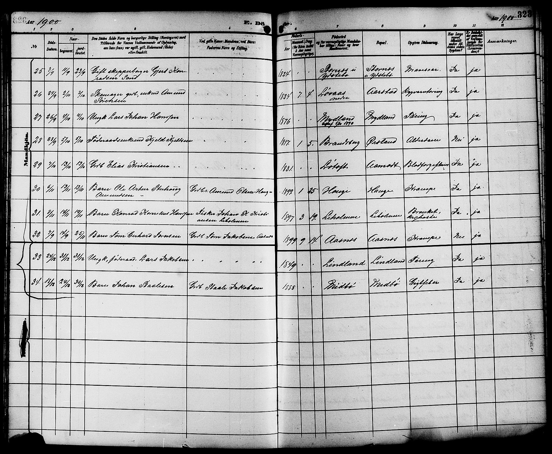 Sokndal sokneprestkontor, SAST/A-101808: Parish register (copy) no. B 6, 1892-1907, p. 323