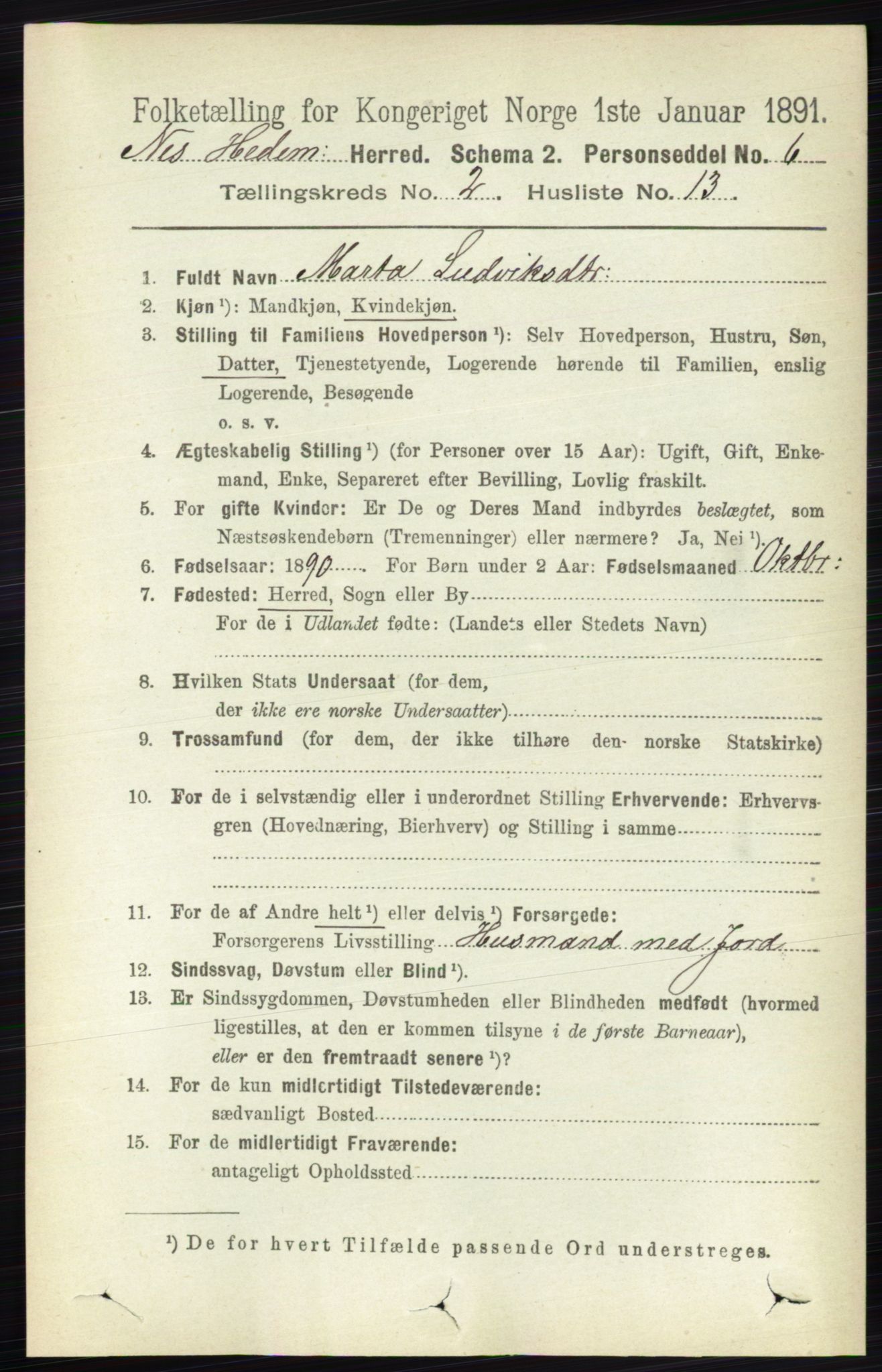 RA, 1891 census for 0411 Nes, 1891, p. 1150