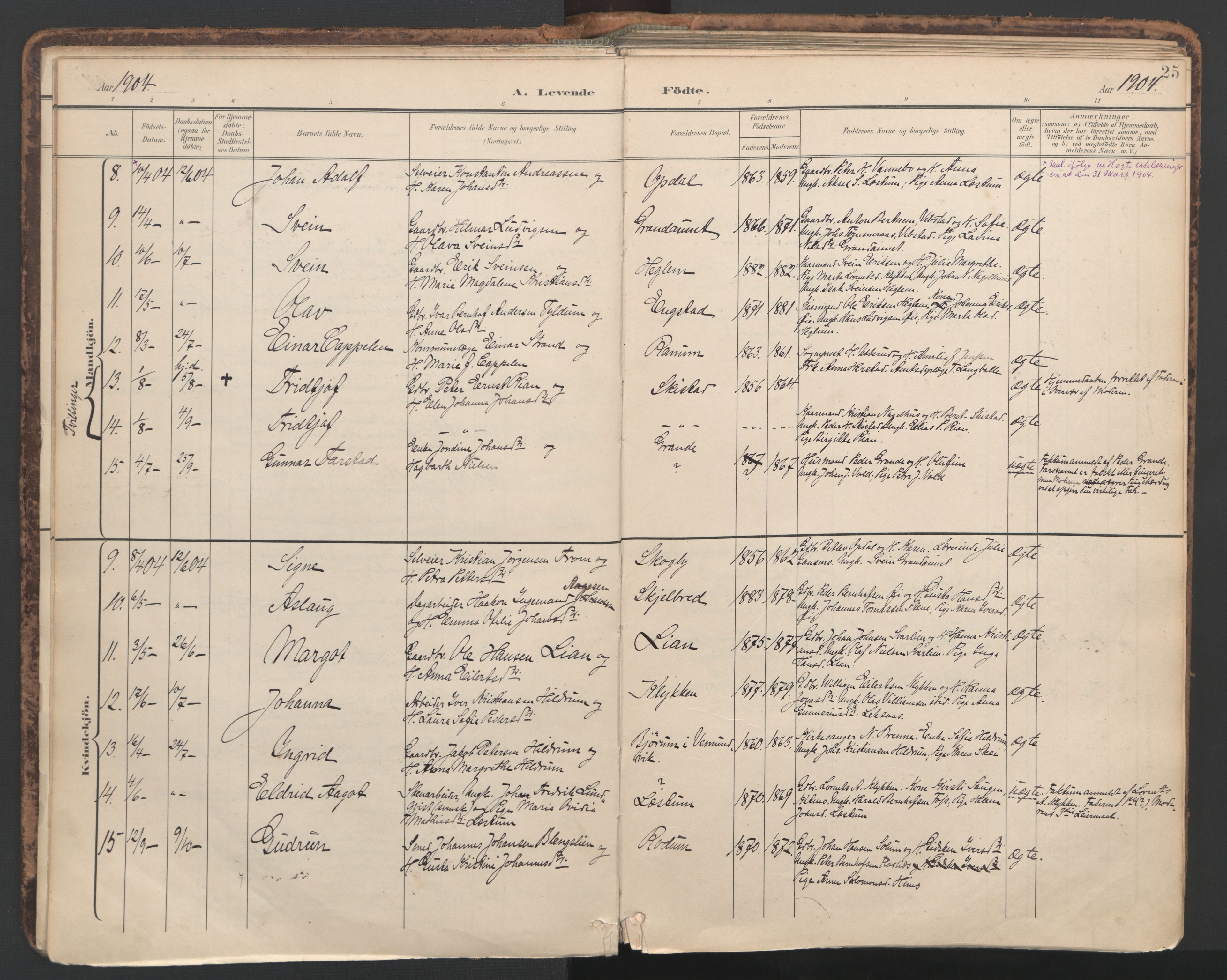Ministerialprotokoller, klokkerbøker og fødselsregistre - Nord-Trøndelag, SAT/A-1458/764/L0556: Parish register (official) no. 764A11, 1897-1924, p. 25