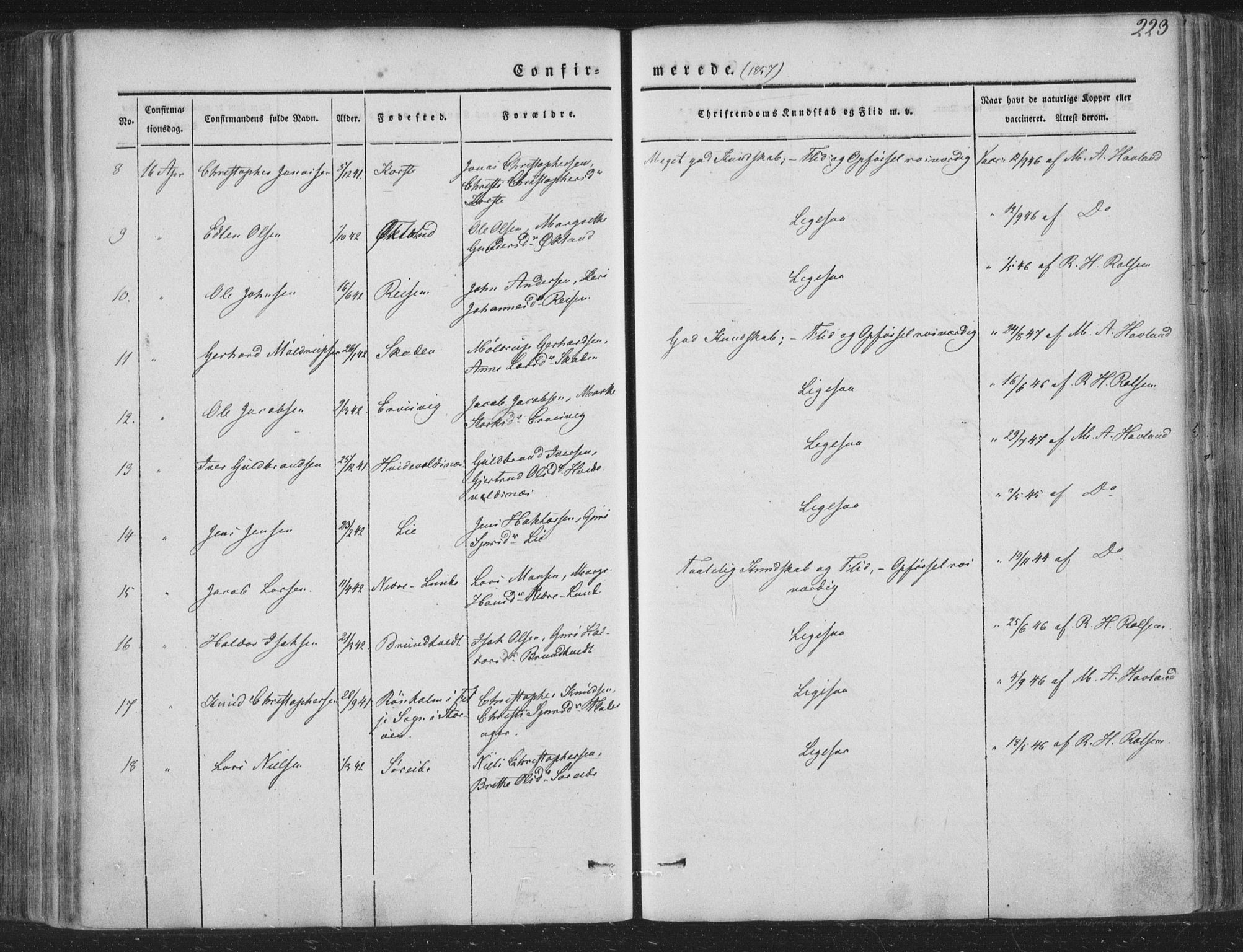 Tysnes sokneprestembete, AV/SAB-A-78601/H/Haa: Parish register (official) no. A 10, 1848-1859, p. 223