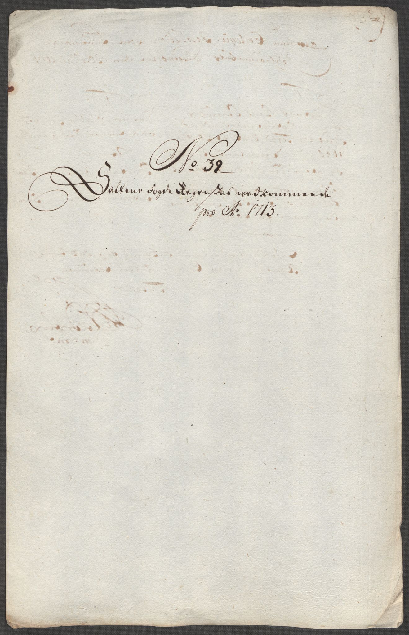 Rentekammeret inntil 1814, Reviderte regnskaper, Fogderegnskap, RA/EA-4092/R66/L4583: Fogderegnskap Salten, 1713, p. 207