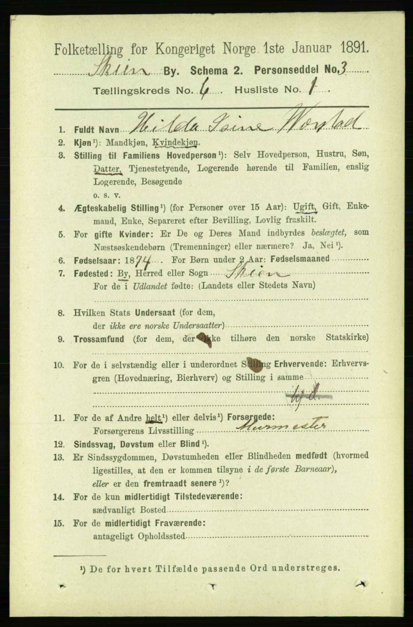 RA, 1891 census for 0806 Skien, 1891, p. 2996