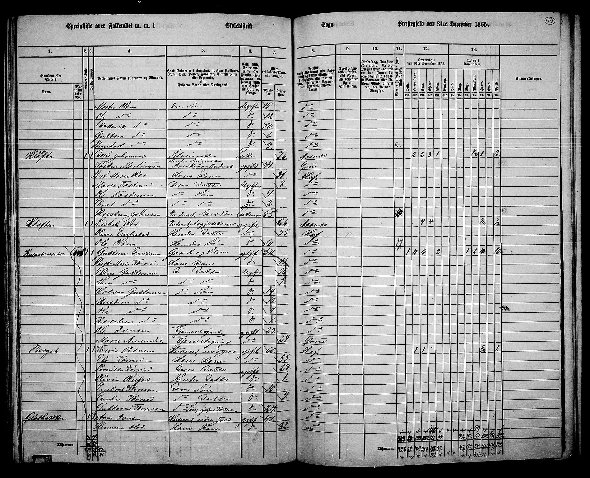 RA, 1865 census for Hof, 1865, p. 106