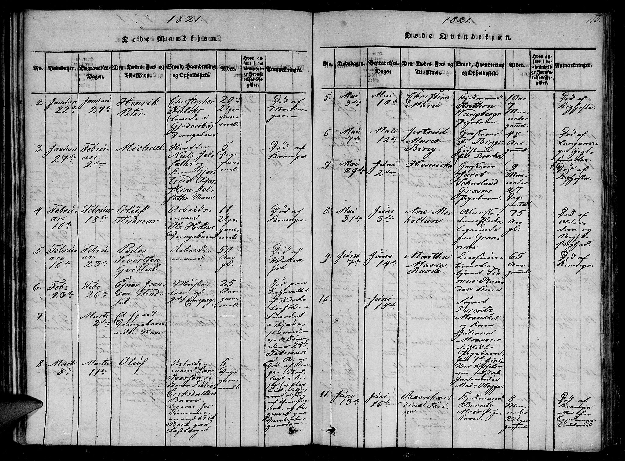 Ministerialprotokoller, klokkerbøker og fødselsregistre - Sør-Trøndelag, SAT/A-1456/602/L0107: Parish register (official) no. 602A05, 1815-1821, p. 113