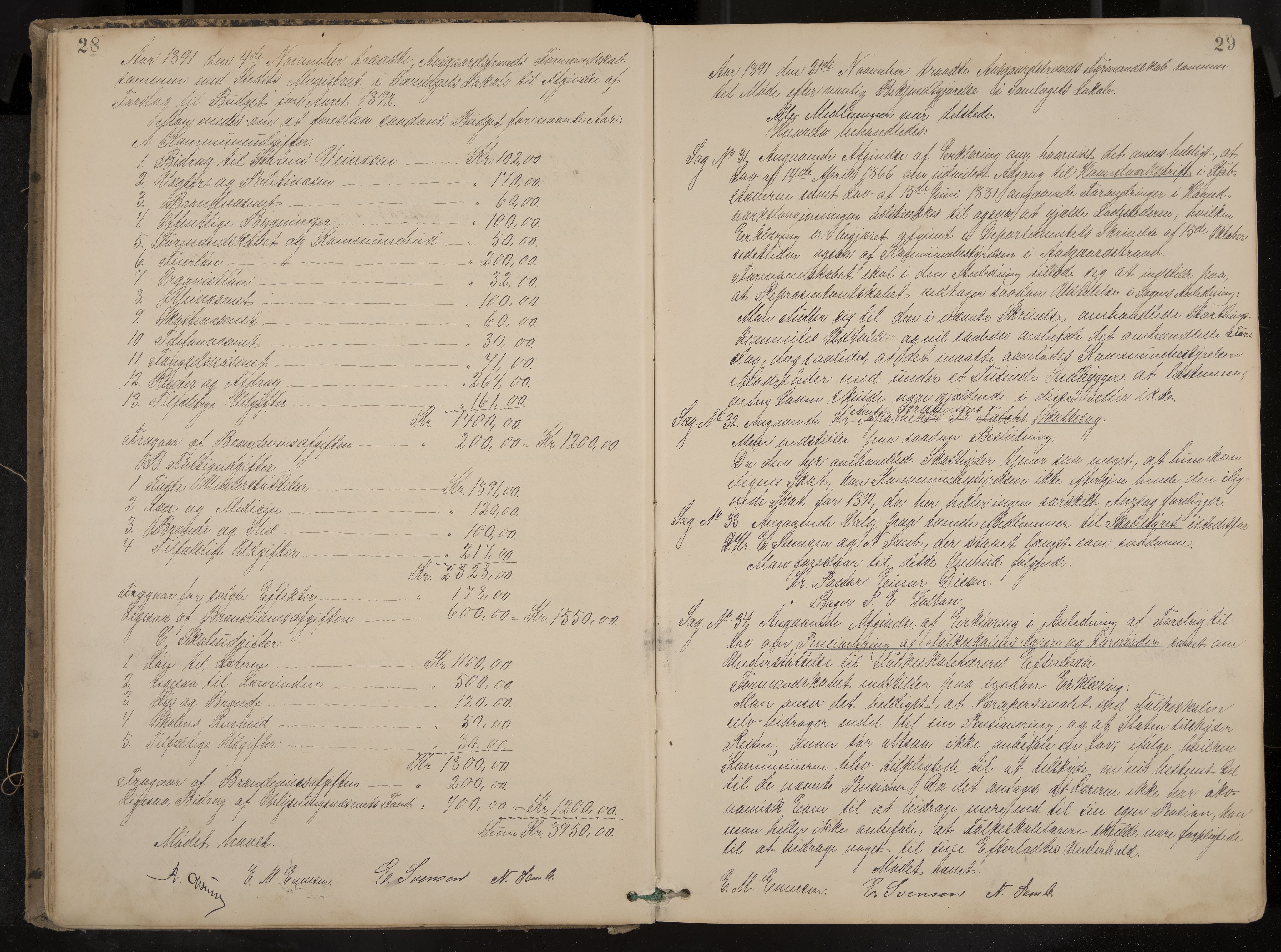 Åsgårdstrand formannskap og sentraladministrasjon, IKAK/0704021/A/L0003: Møtebok med register, 1890-1908, p. 28-29