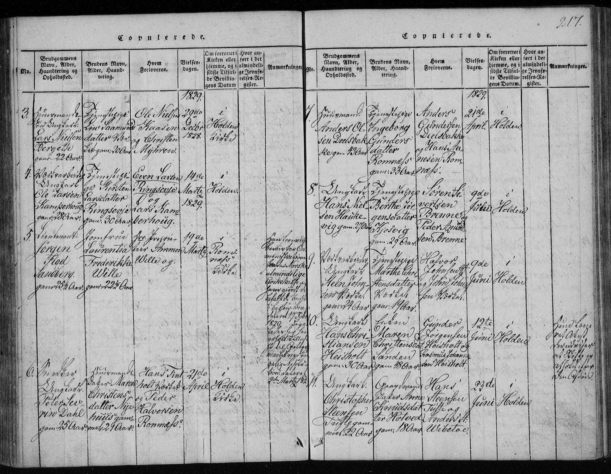 Holla kirkebøker, SAKO/A-272/F/Fa/L0003: Parish register (official) no. 3, 1815-1830, p. 217
