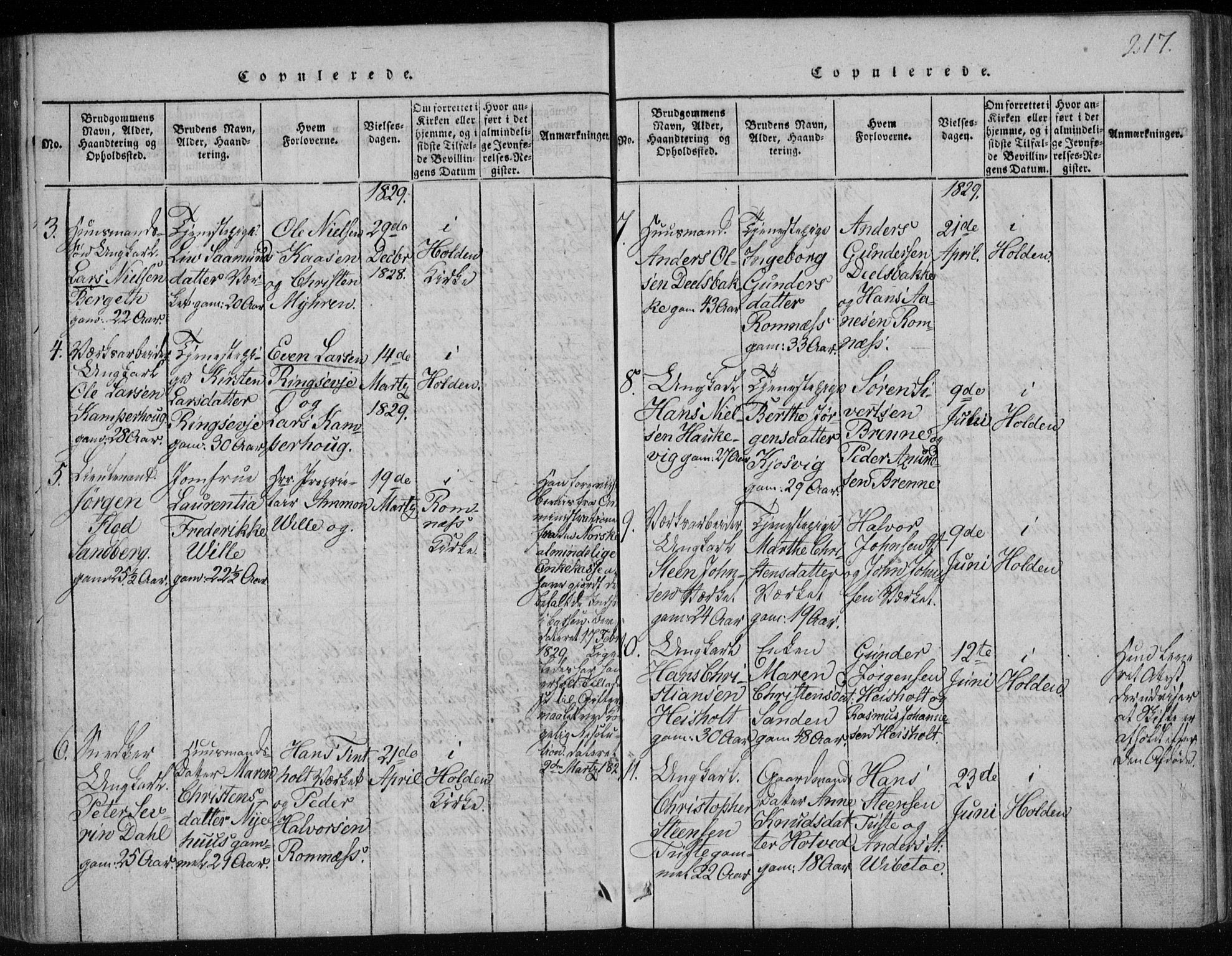 Holla kirkebøker, AV/SAKO-A-272/F/Fa/L0003: Parish register (official) no. 3, 1815-1830, p. 217