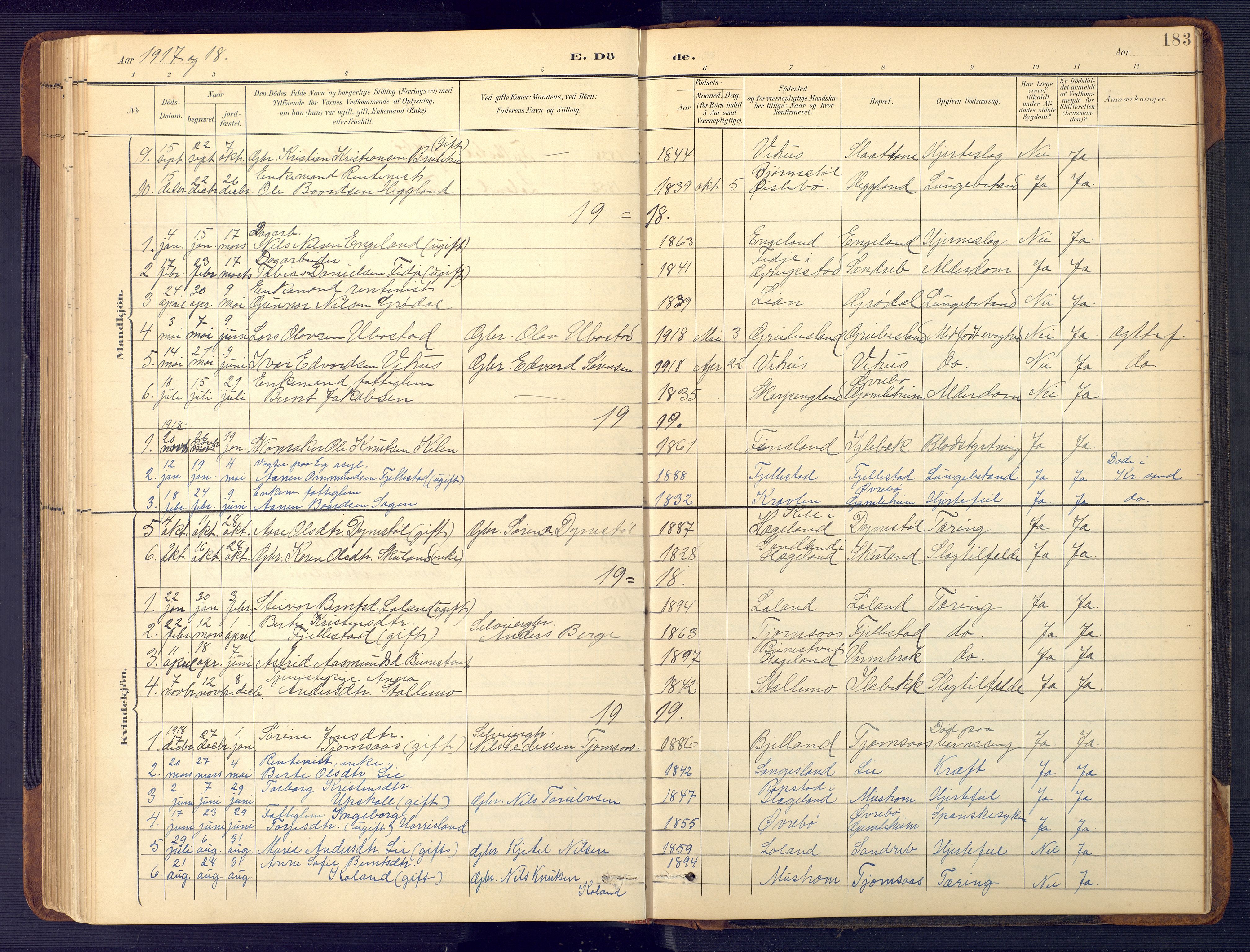 Vennesla sokneprestkontor, SAK/1111-0045/Fb/Fbc/L0003: Parish register (copy) no. B 3, 1895-1946, p. 183