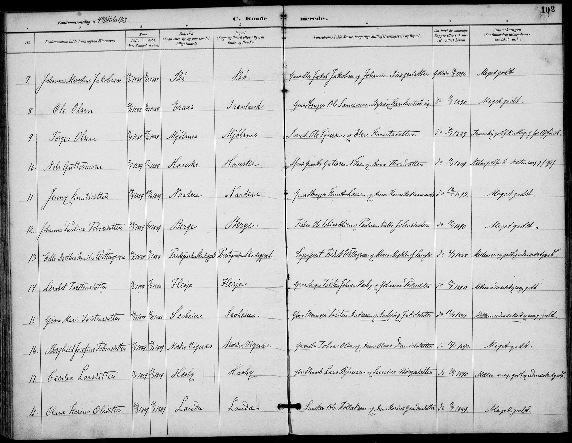 Finnøy sokneprestkontor, SAST/A-101825/H/Ha/Haa/L0011: Parish register (official) no. A 11, 1891-1910, p. 102