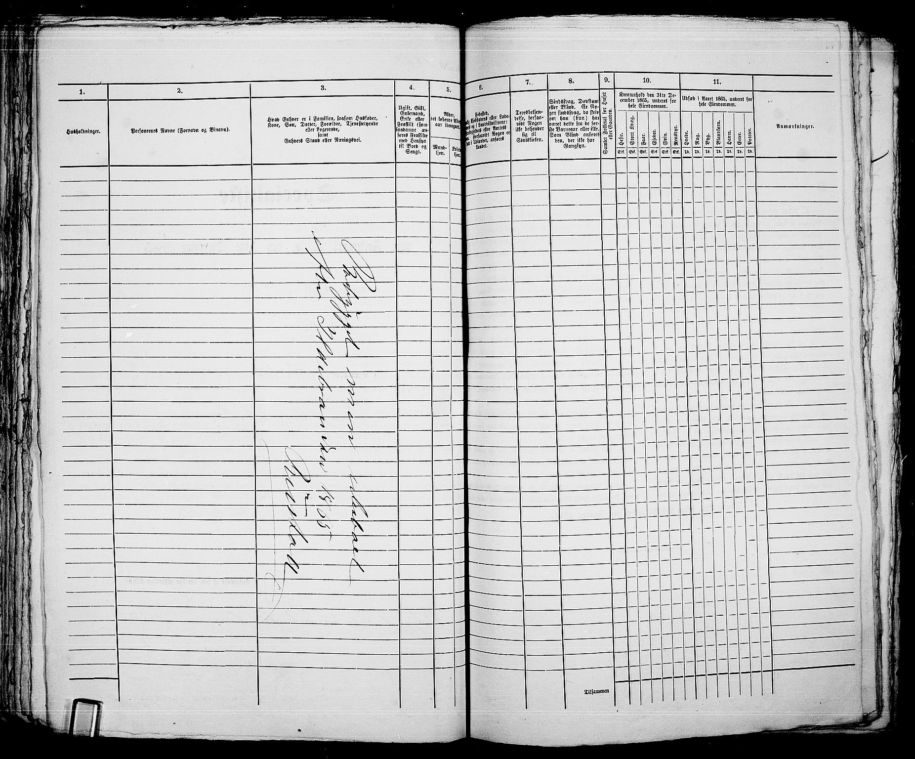 RA, 1865 census for Kristiania, 1865, p. 4174