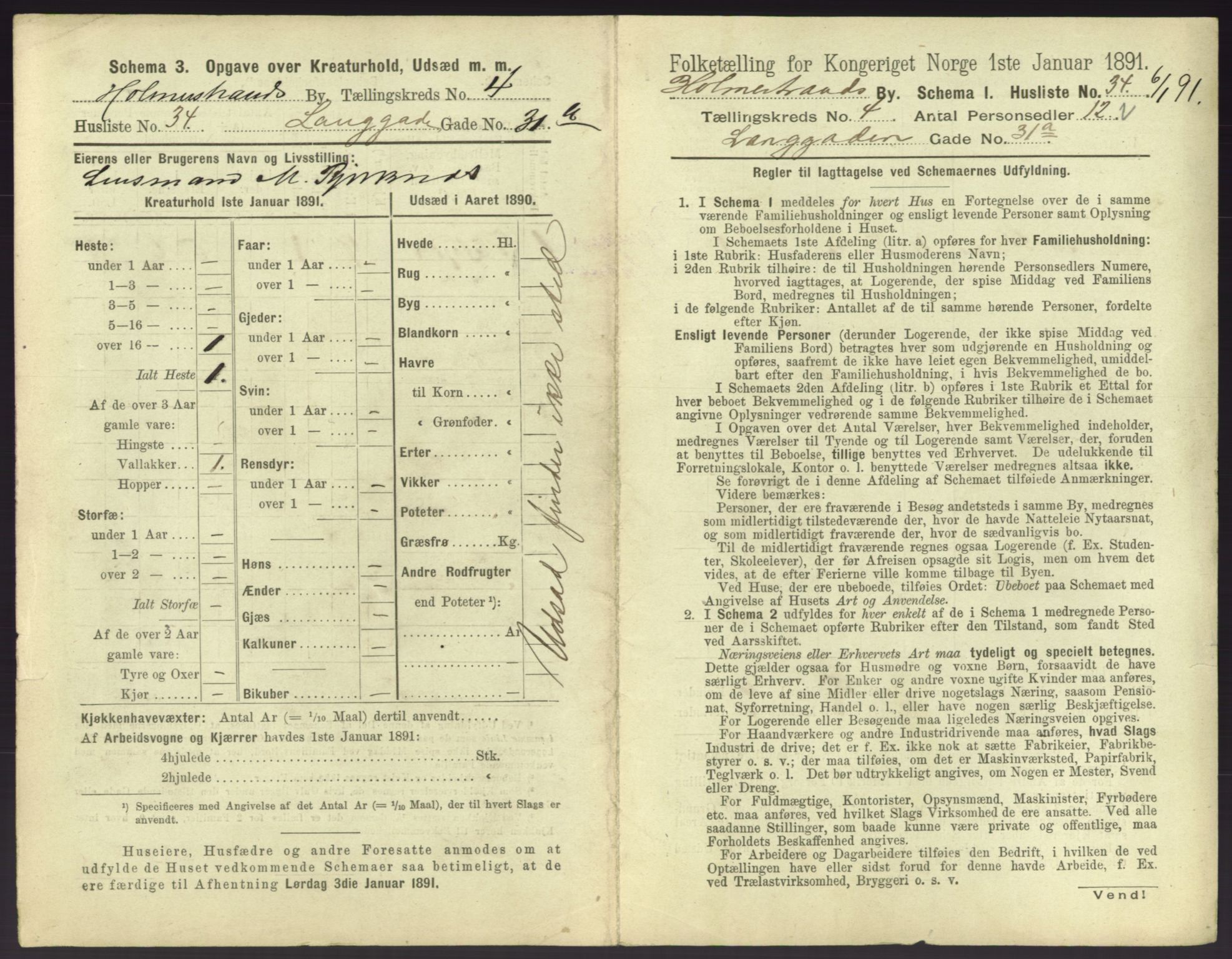 RA, 1891 census for 0702 Holmestrand, 1891, p. 390