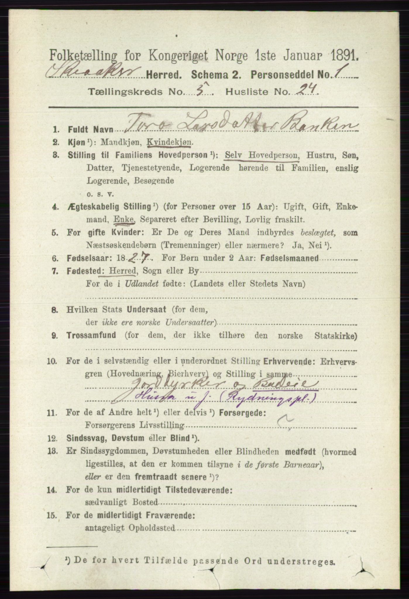 RA, 1891 census for 0513 Skjåk, 1891, p. 1730