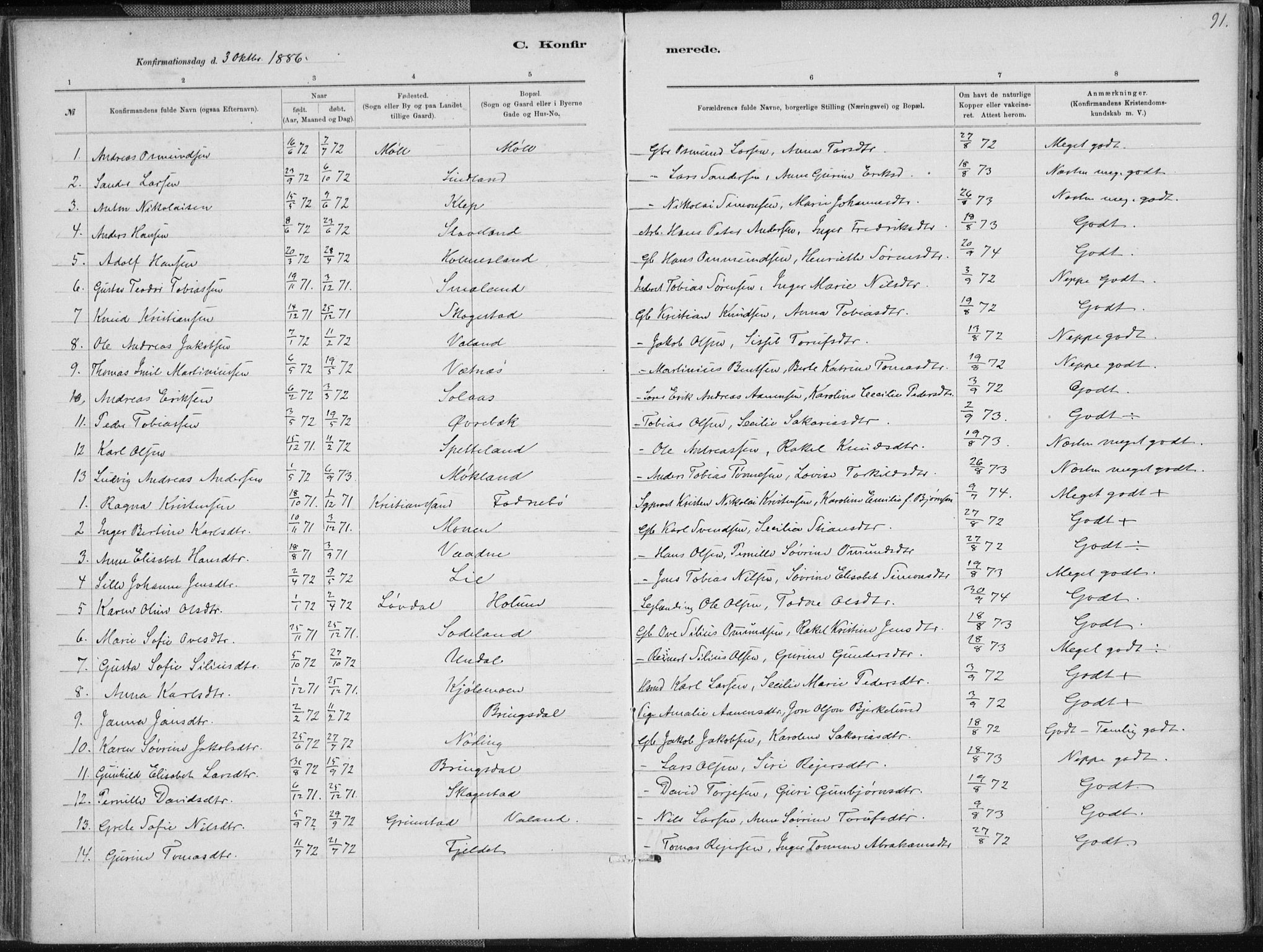 Holum sokneprestkontor, SAK/1111-0022/F/Fa/Faa/L0007: Parish register (official) no. A 7, 1884-1907, p. 91