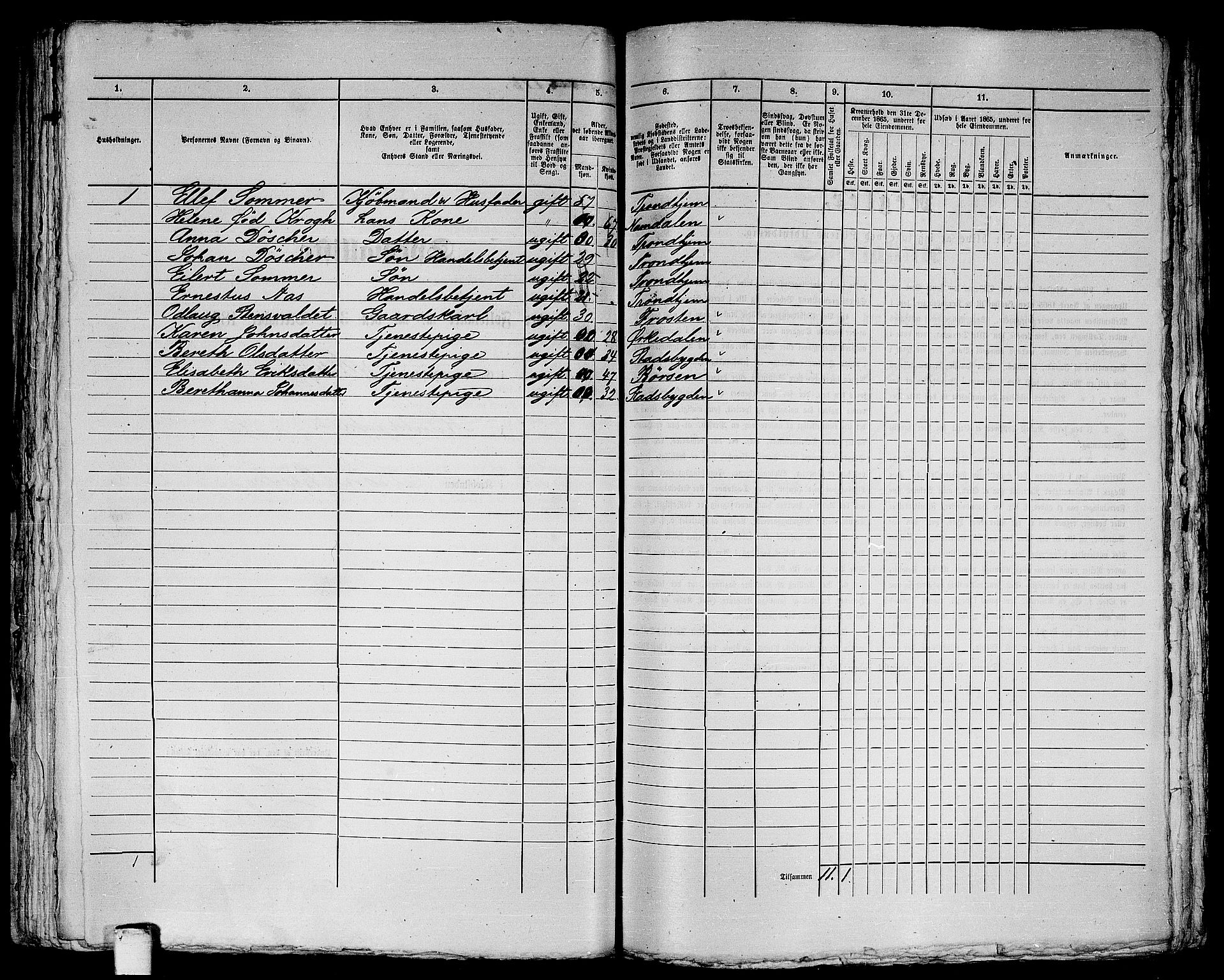 RA, 1865 census for Trondheim, 1865, p. 382