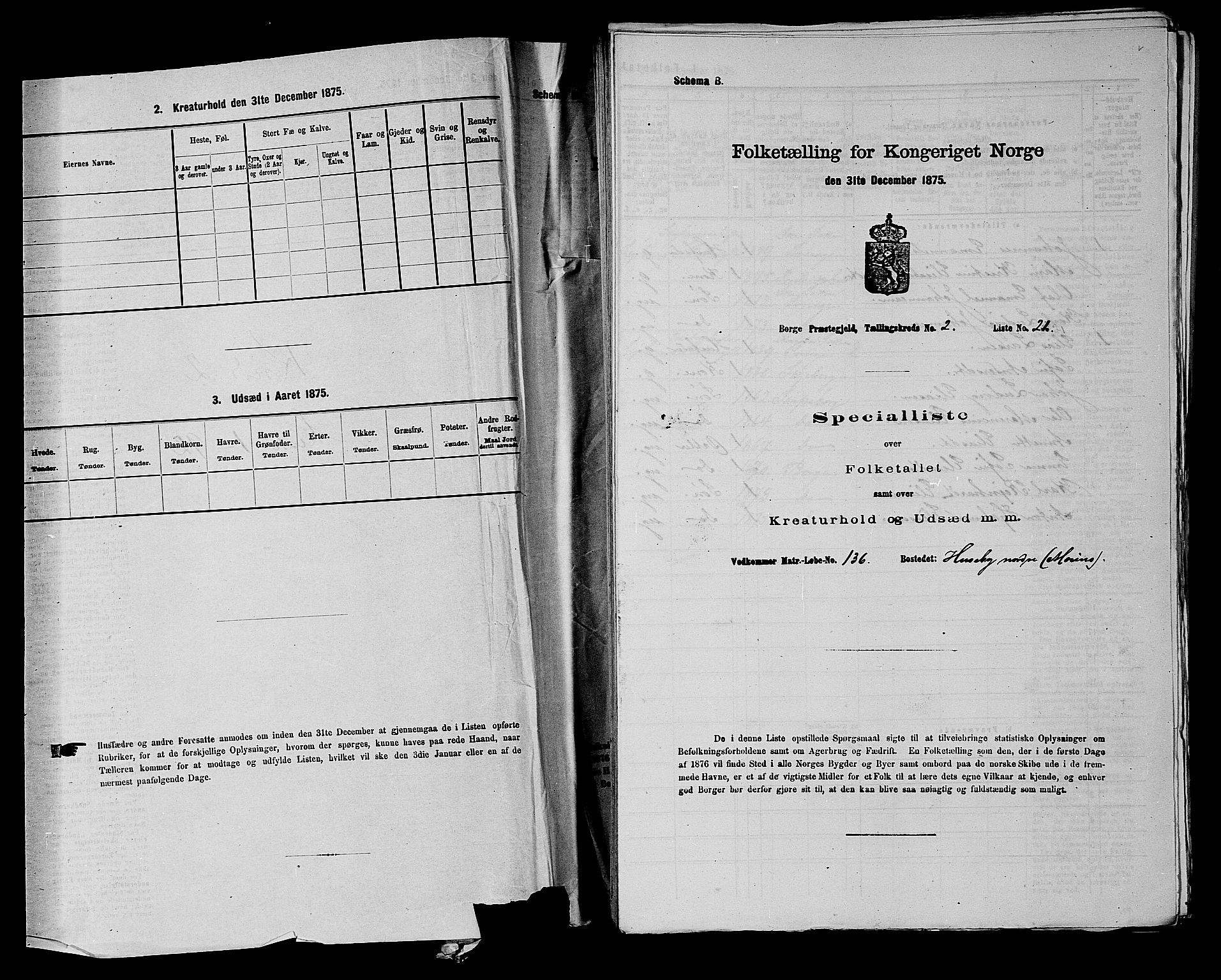 RA, 1875 census for 0113P Borge, 1875, p. 191