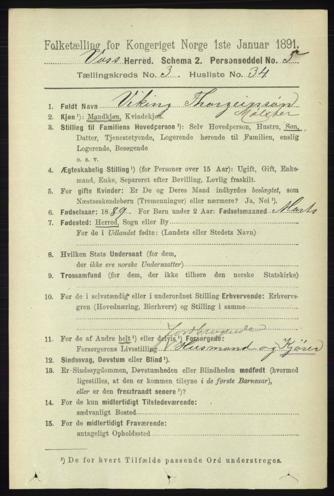 RA, 1891 census for 1235 Voss, 1891, p. 1394