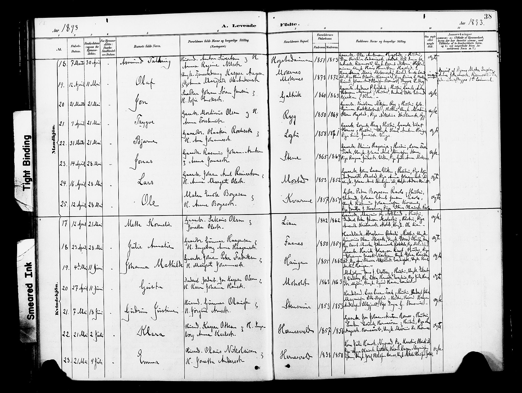 Ministerialprotokoller, klokkerbøker og fødselsregistre - Nord-Trøndelag, AV/SAT-A-1458/713/L0121: Parish register (official) no. 713A10, 1888-1898, p. 38