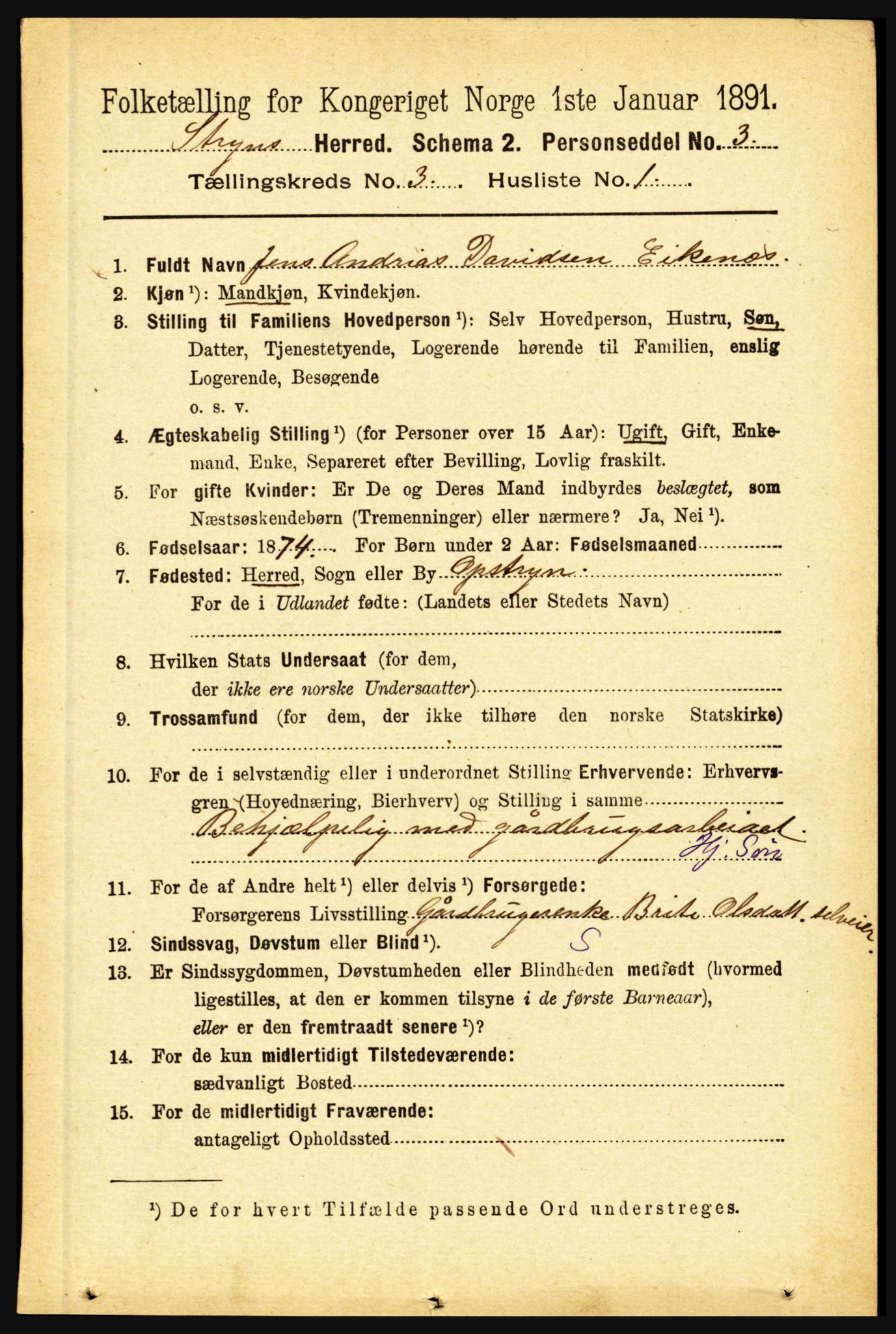 RA, 1891 census for 1448 Stryn, 1891, p. 1098