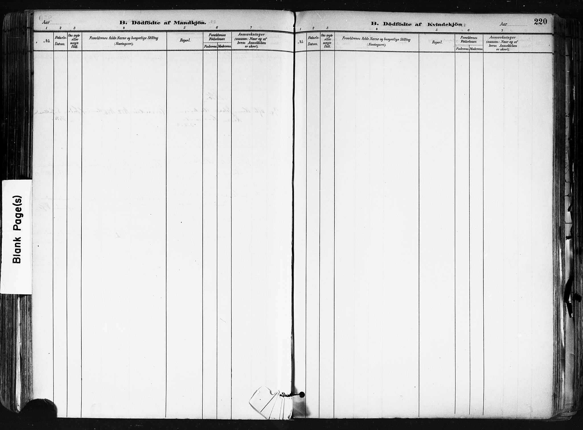Nes prestekontor Kirkebøker, SAO/A-10410/F/Fa/L0010: Parish register (official) no. I 10, 1883-1898, p. 220