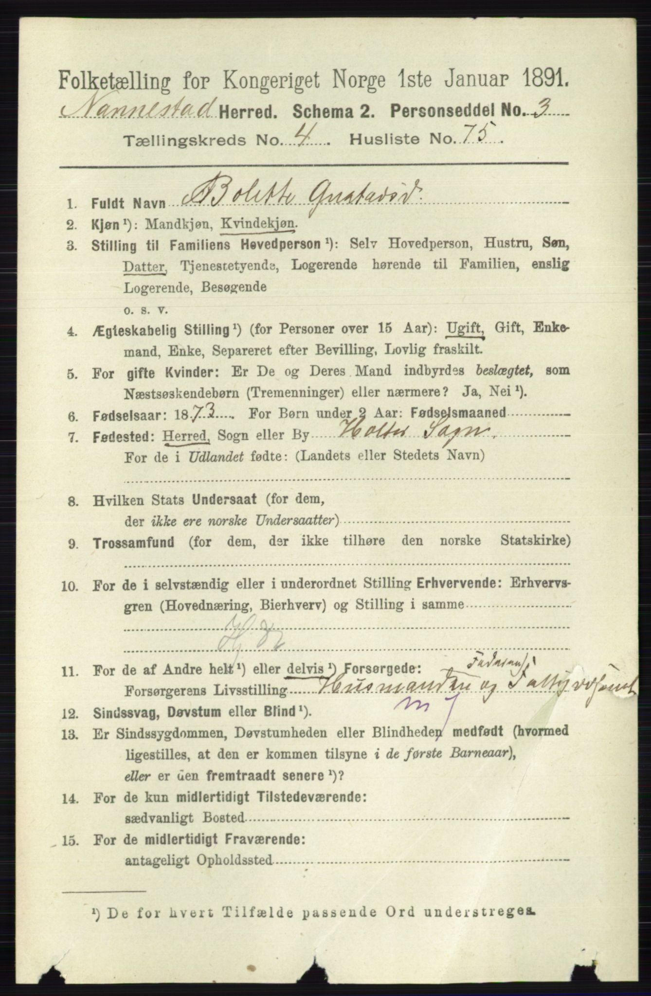 RA, 1891 census for 0238 Nannestad, 1891, p. 2518