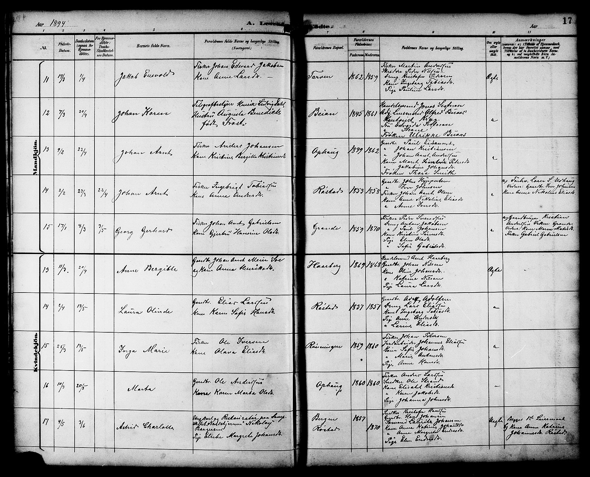 Ministerialprotokoller, klokkerbøker og fødselsregistre - Sør-Trøndelag, AV/SAT-A-1456/659/L0746: Parish register (copy) no. 659C03, 1893-1912, p. 17