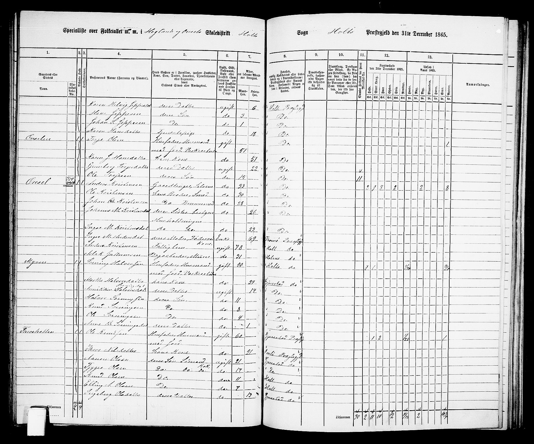 RA, 1865 census for Holt/Holt, 1865, p. 141