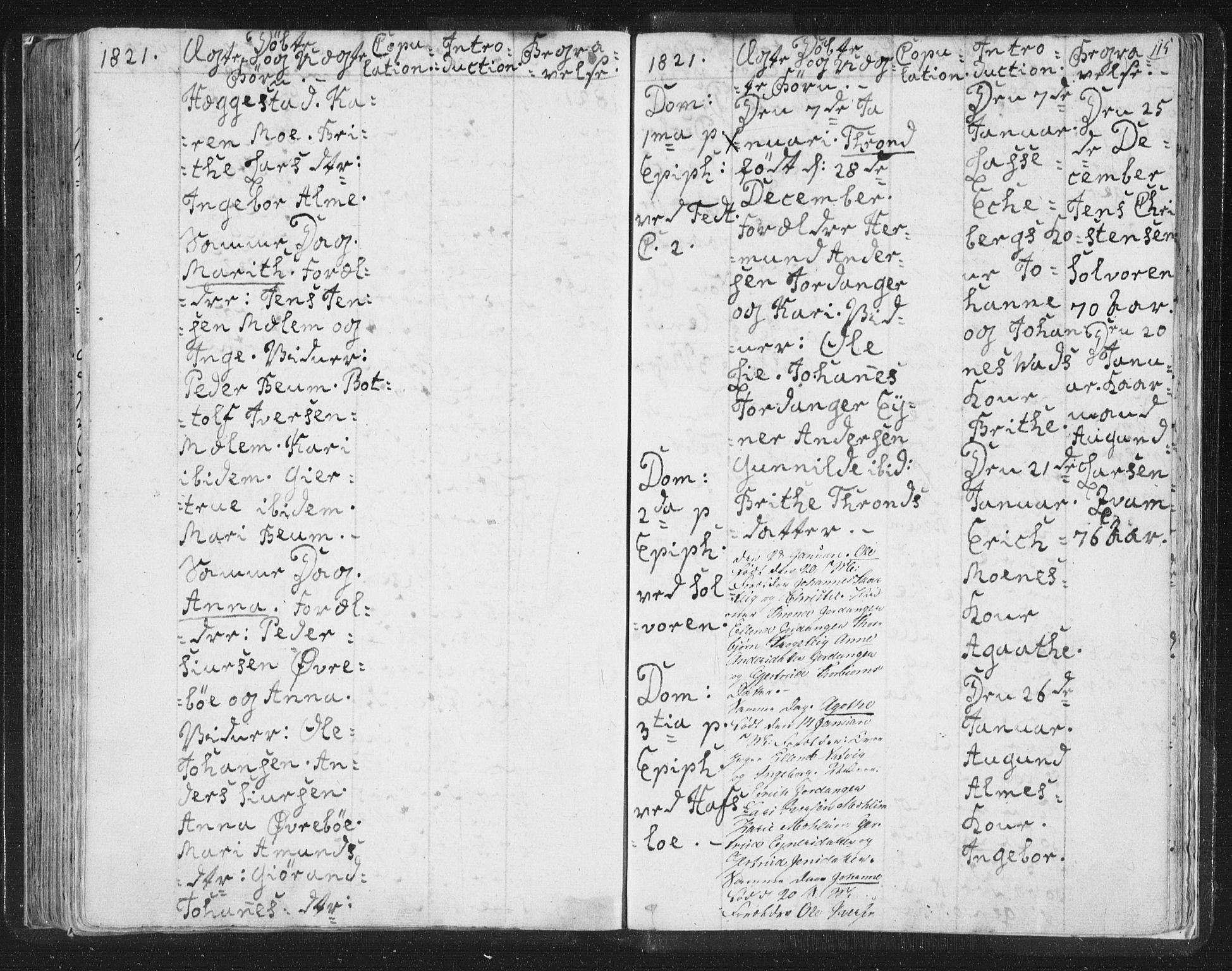 Hafslo sokneprestembete, AV/SAB-A-80301/H/Haa/Haaa/L0003: Parish register (official) no. A 3, 1807-1821, p. 115