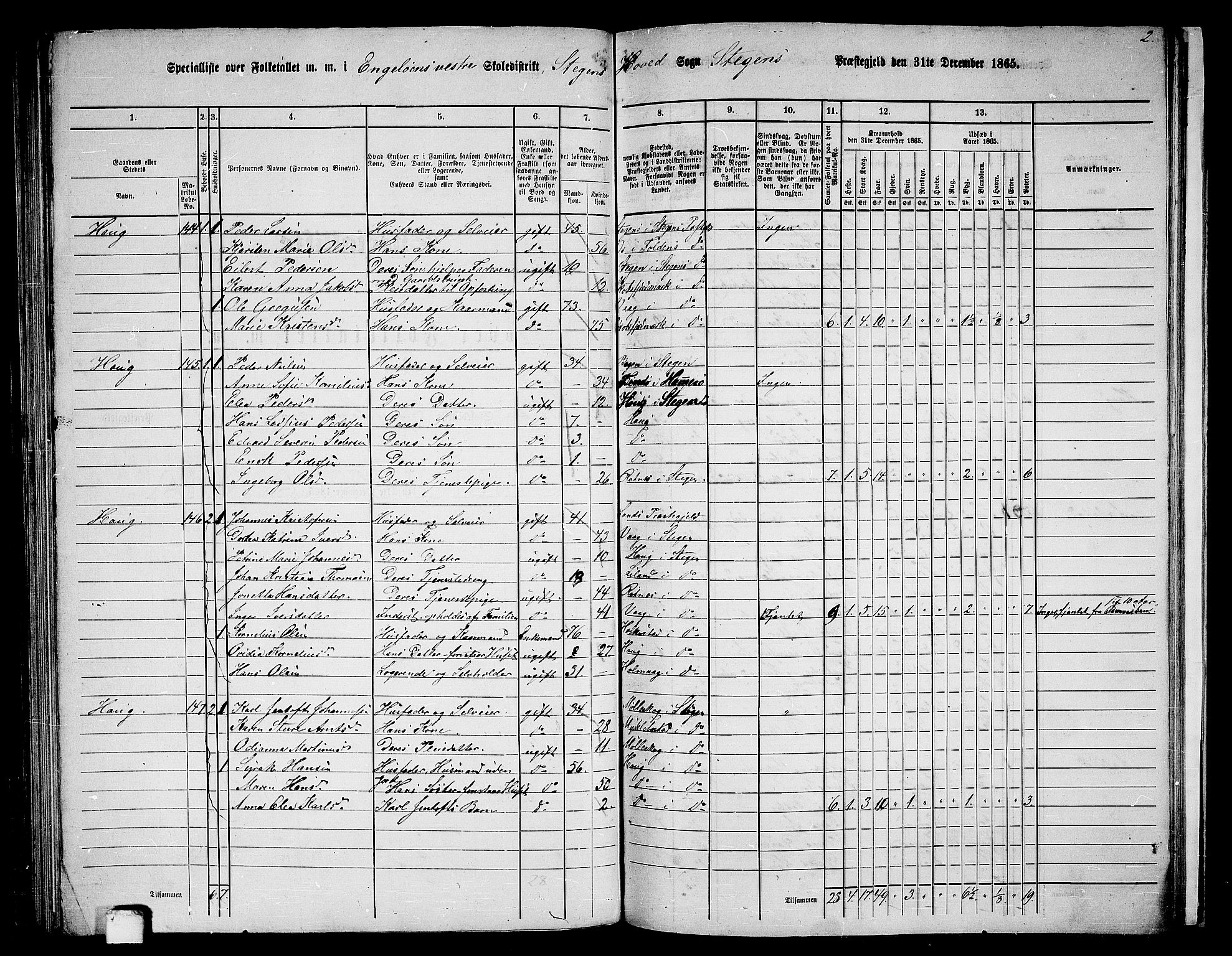 RA, 1865 census for Steigen, 1865, p. 89