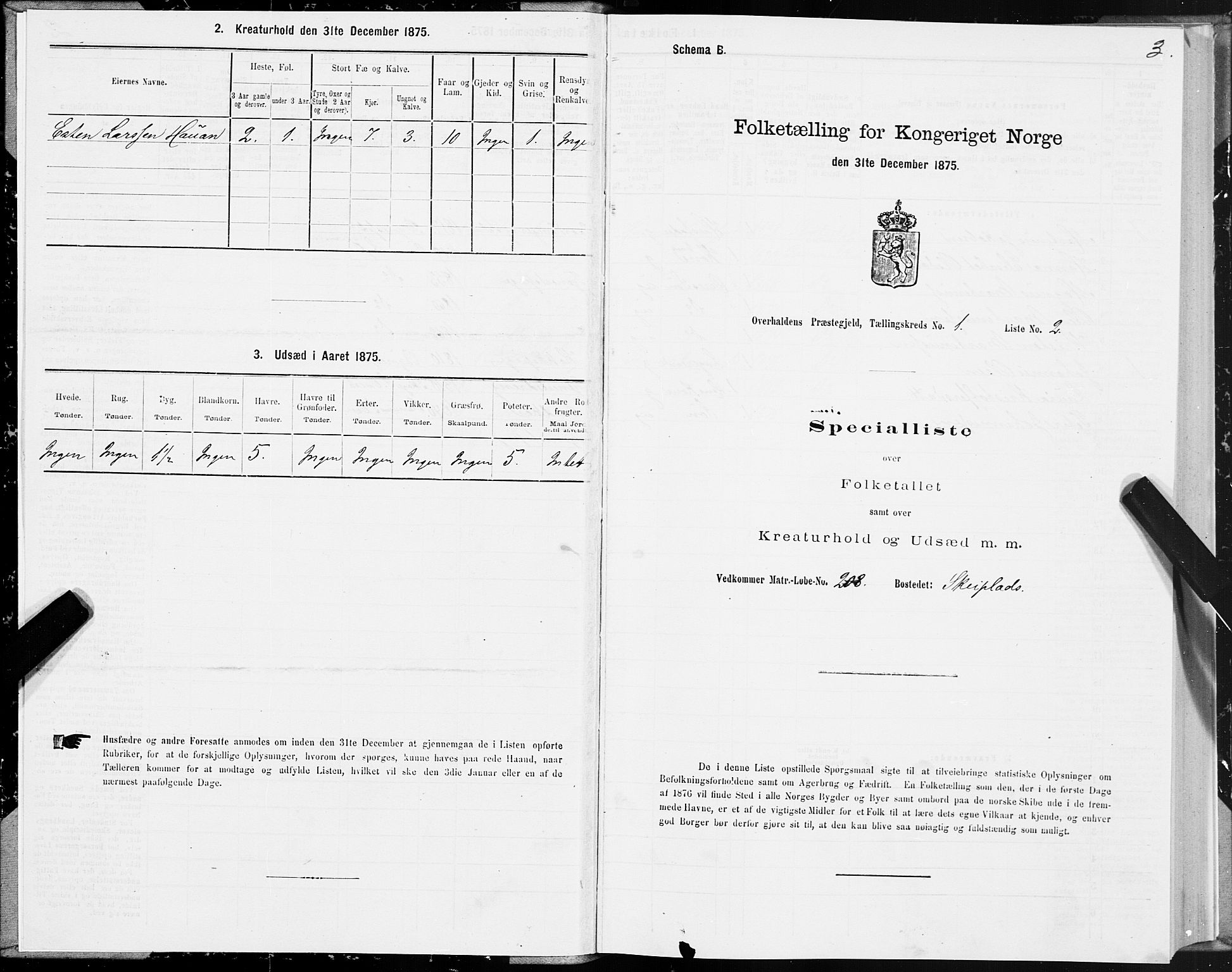 SAT, 1875 census for 1744P Overhalla, 1875, p. 1003