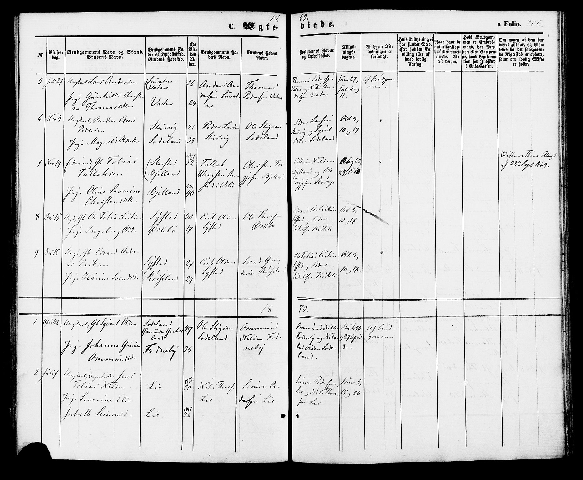 Holum sokneprestkontor, AV/SAK-1111-0022/F/Fa/Faa/L0006: Parish register (official) no. A 6, 1865-1883, p. 206