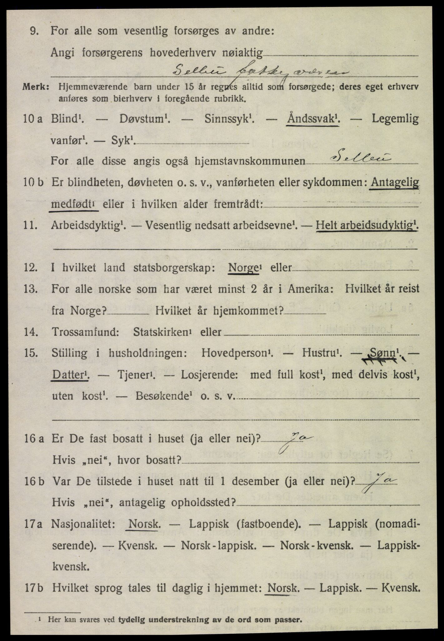 SAT, 1920 census for Selbu, 1920, p. 10187