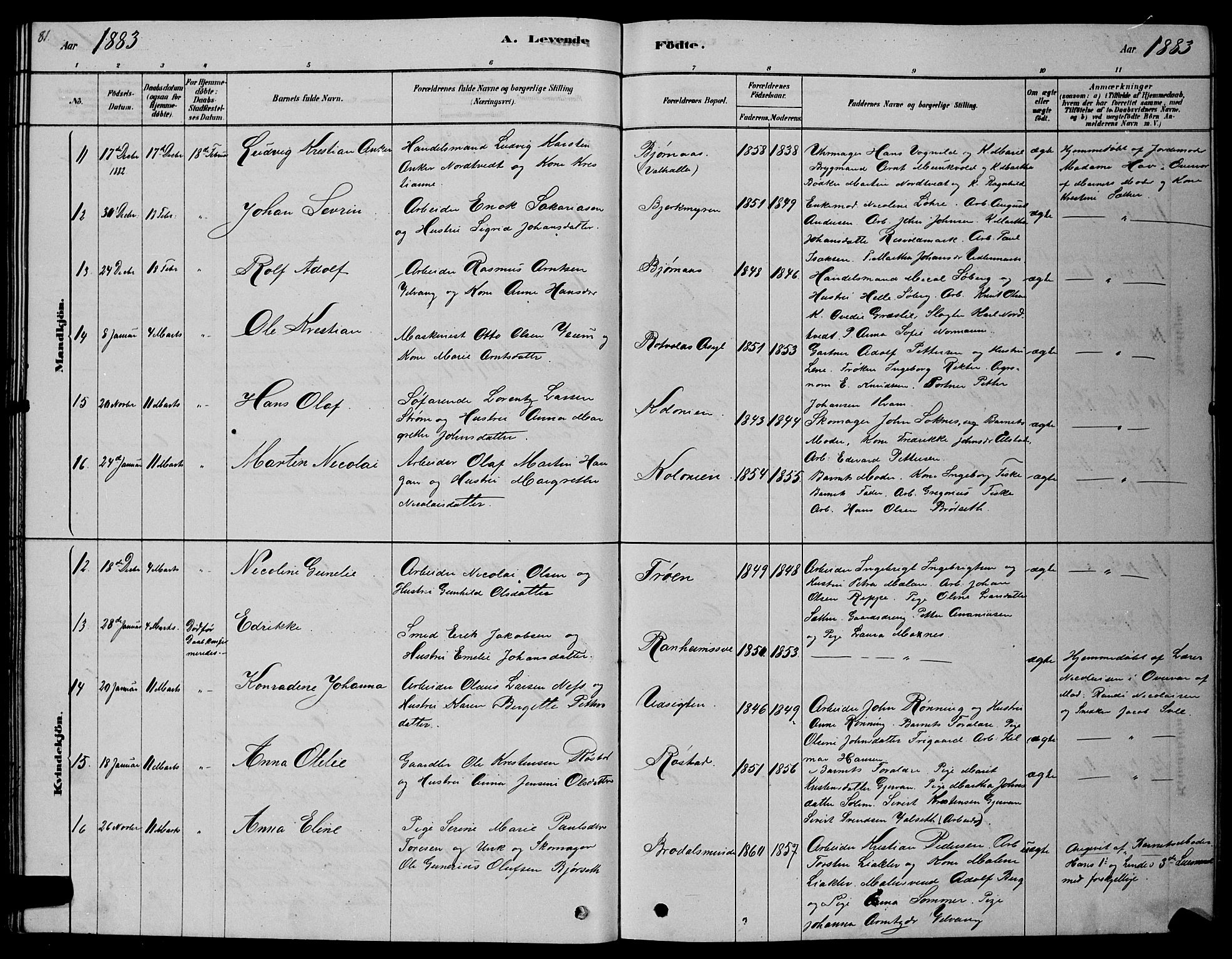 Ministerialprotokoller, klokkerbøker og fødselsregistre - Sør-Trøndelag, AV/SAT-A-1456/606/L0312: Parish register (copy) no. 606C08, 1878-1894, p. 81