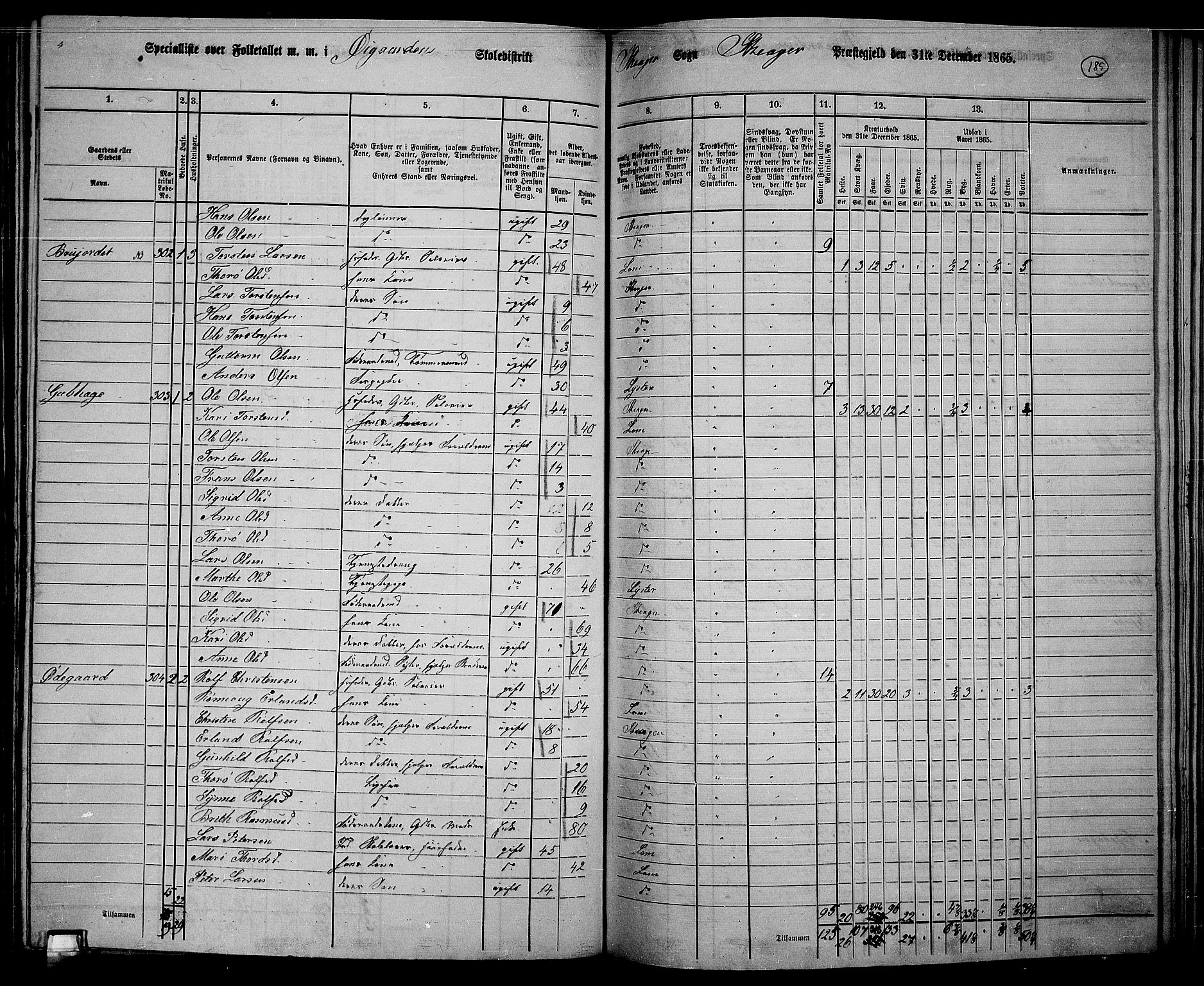 RA, 1865 census for Skjåk, 1865, p. 40