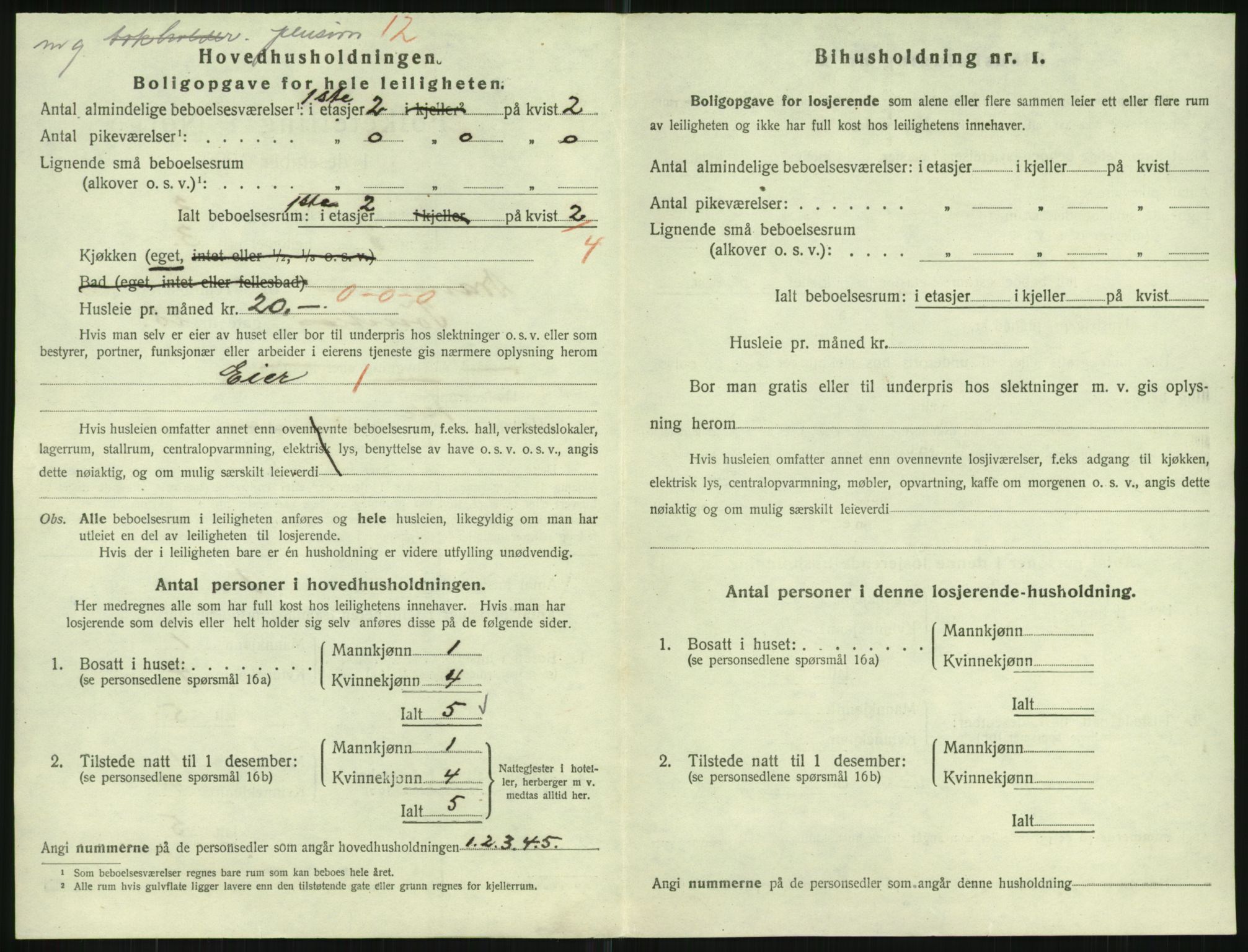 SAKO, 1920 census for Drammen, 1920, p. 11058