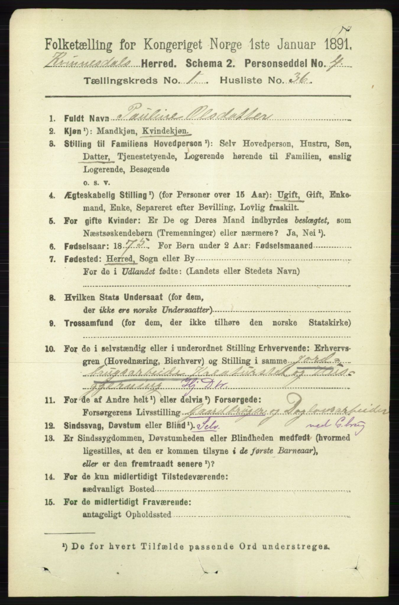 RA, 1891 census for 1037 Kvinesdal, 1891, p. 251