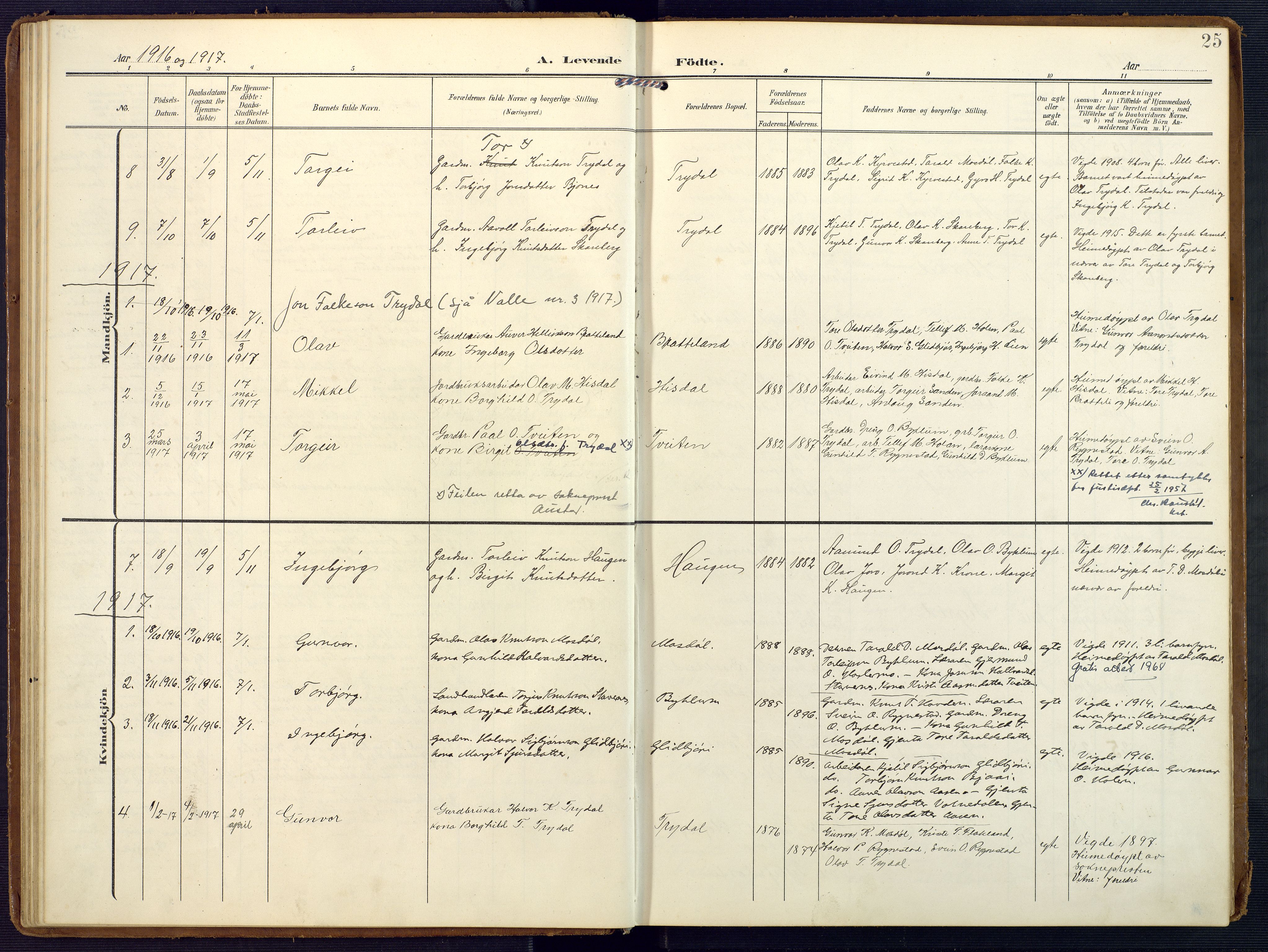 Valle sokneprestkontor, SAK/1111-0044/F/Fa/Faa/L0002: Parish register (official) no. A 2, 1907-1919, p. 25