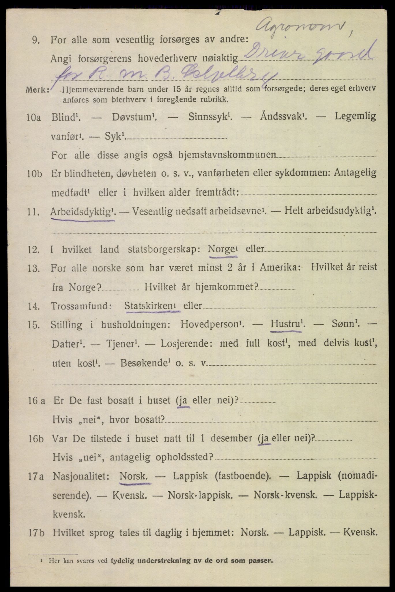 SAT, 1920 census for Bodin, 1920, p. 9319