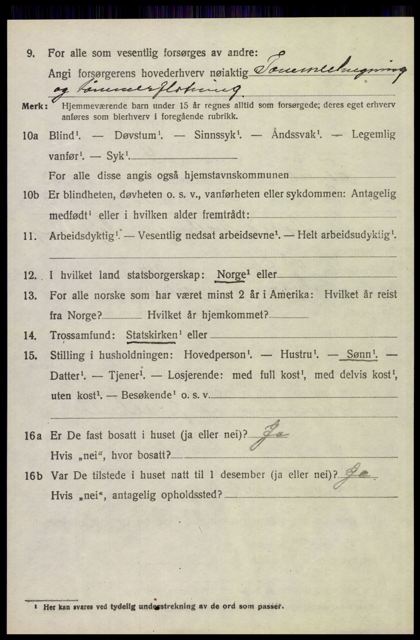 SAH, 1920 census for Trysil, 1920, p. 14988