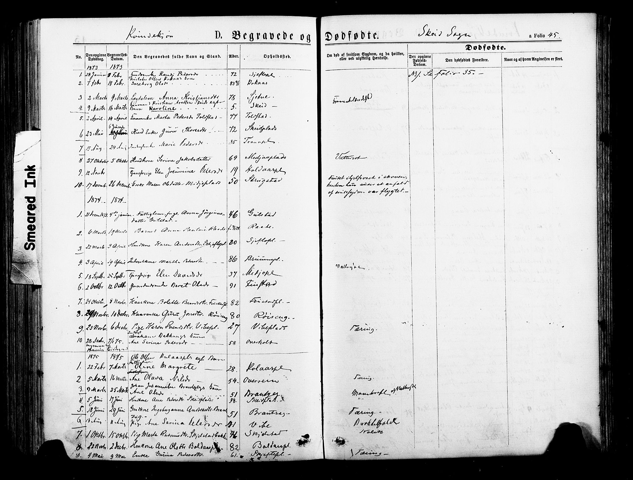 Ministerialprotokoller, klokkerbøker og fødselsregistre - Nord-Trøndelag, SAT/A-1458/735/L0348: Parish register (official) no. 735A09 /2, 1873-1883, p. 45