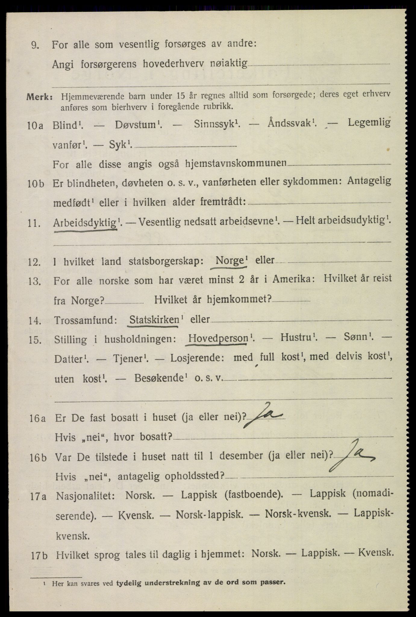 SAT, 1920 census for Saltdal, 1920, p. 3162