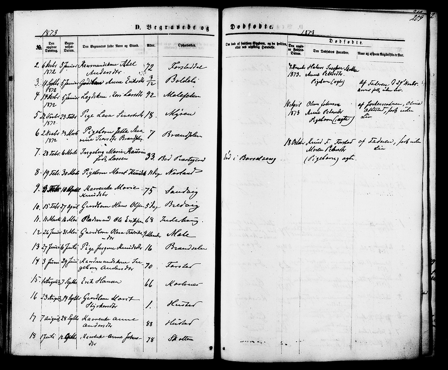 Ministerialprotokoller, klokkerbøker og fødselsregistre - Møre og Romsdal, AV/SAT-A-1454/566/L0768: Parish register (official) no. 566A07, 1869-1881, p. 209